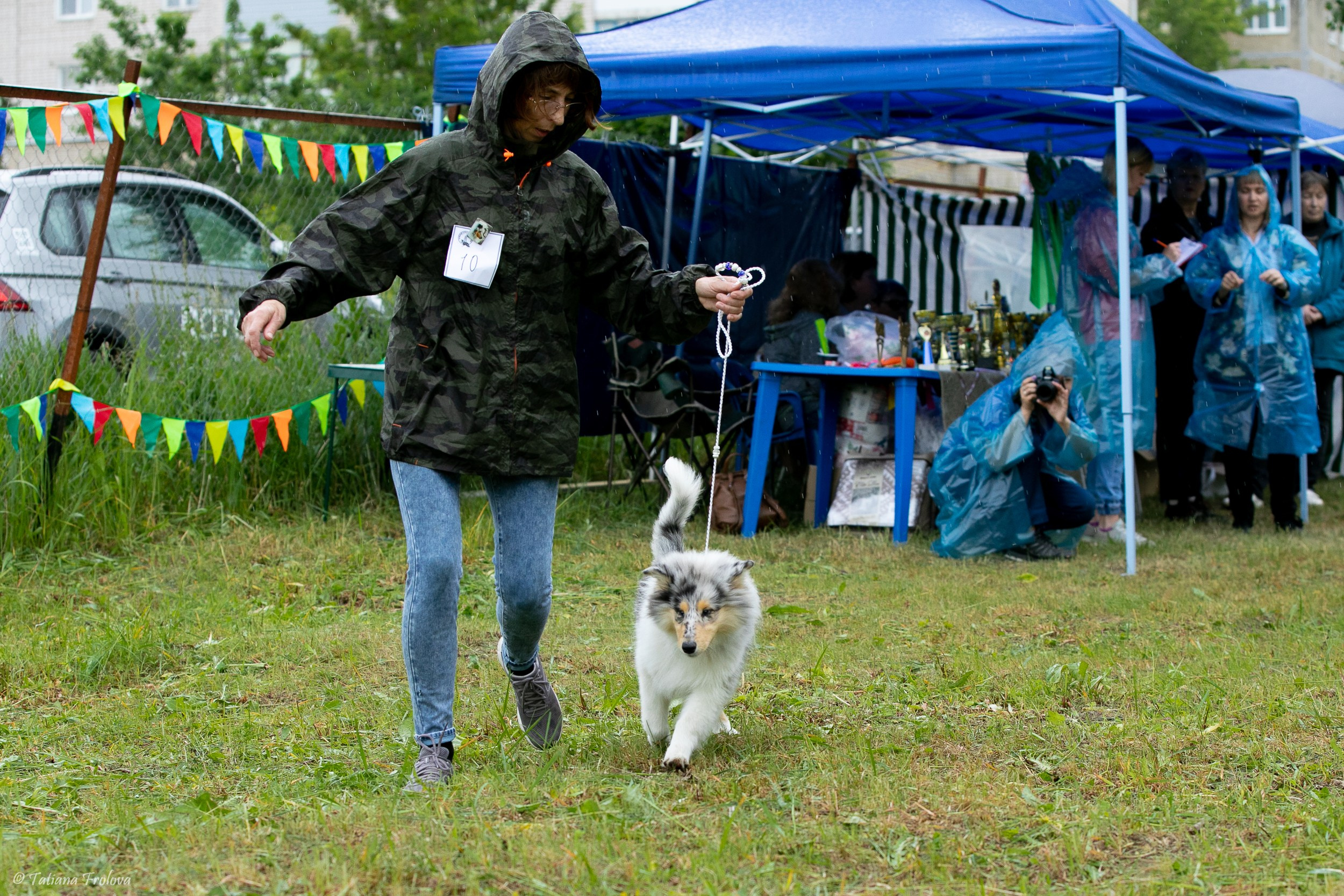 Фотосопровождение выставки собак в Московской области и Москве. Фотограф-анималист в Москве и Московской области Татьяна Фролова