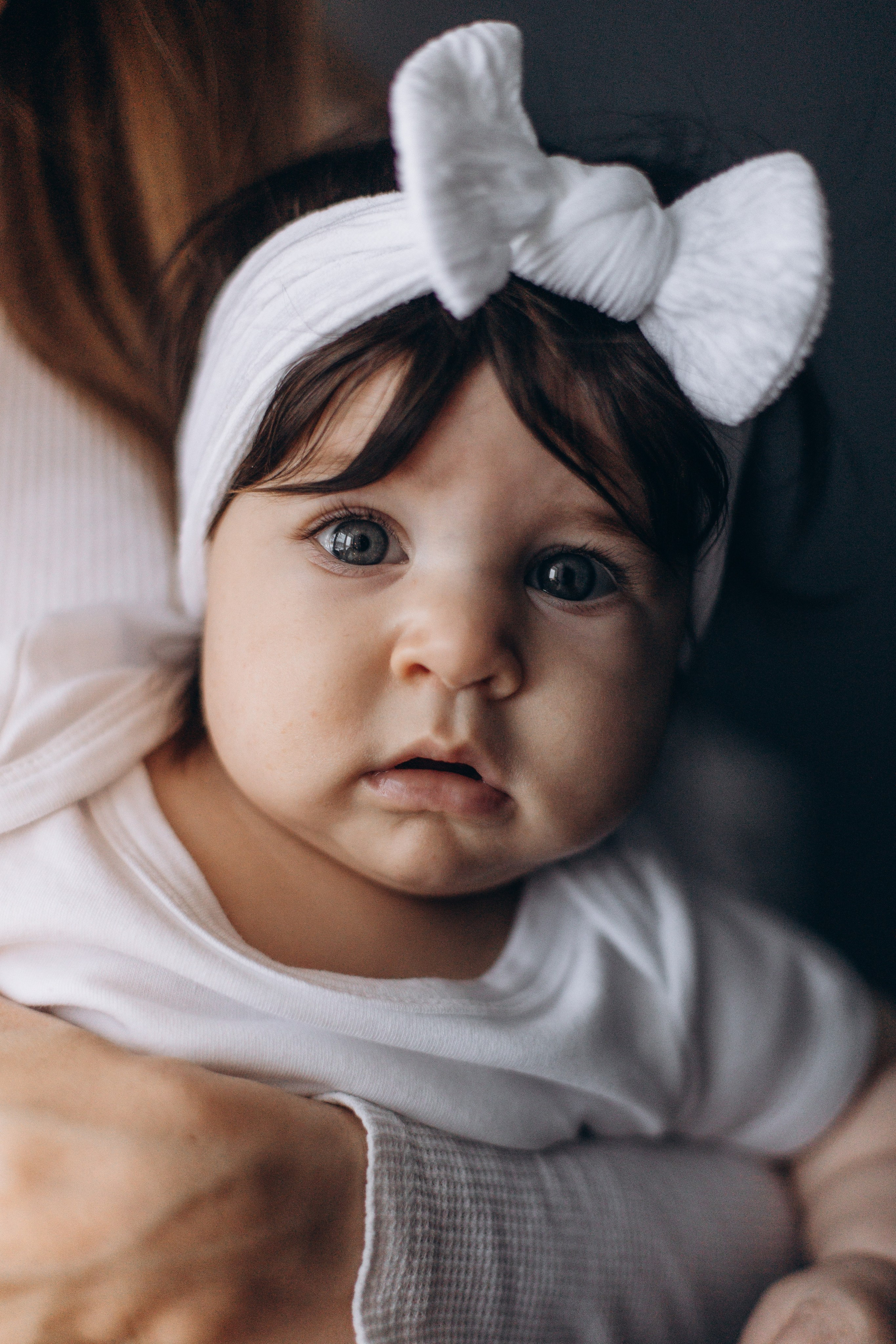 Джой и его семья. Фотограф — Анималист | Санкт-Петербург