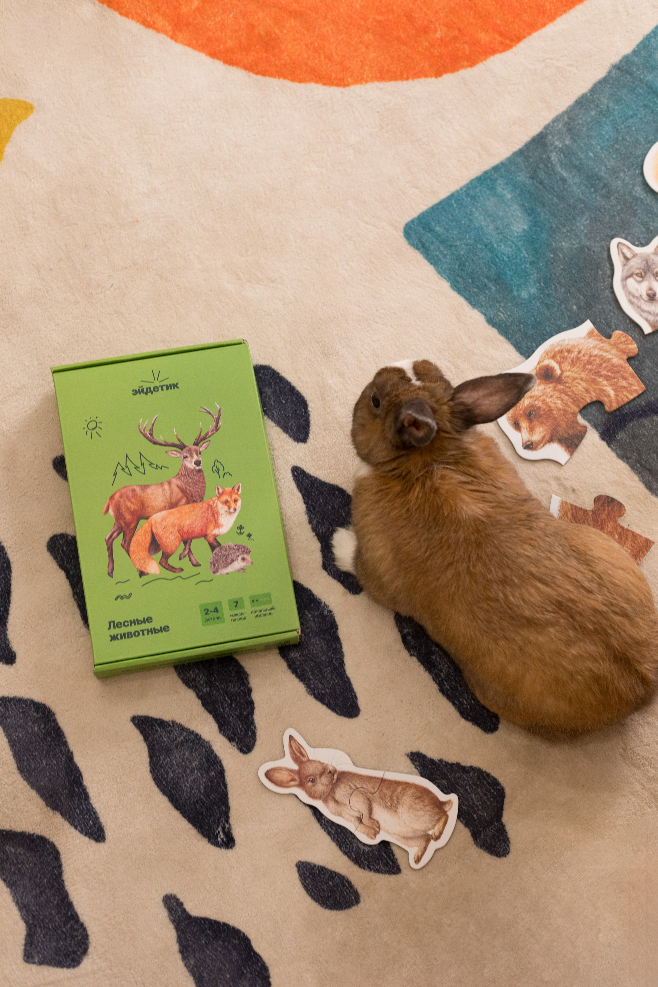 Для детского бренда HEIDETIK. Детский и контент фотограф Надя Волкова Санкт-Петербург