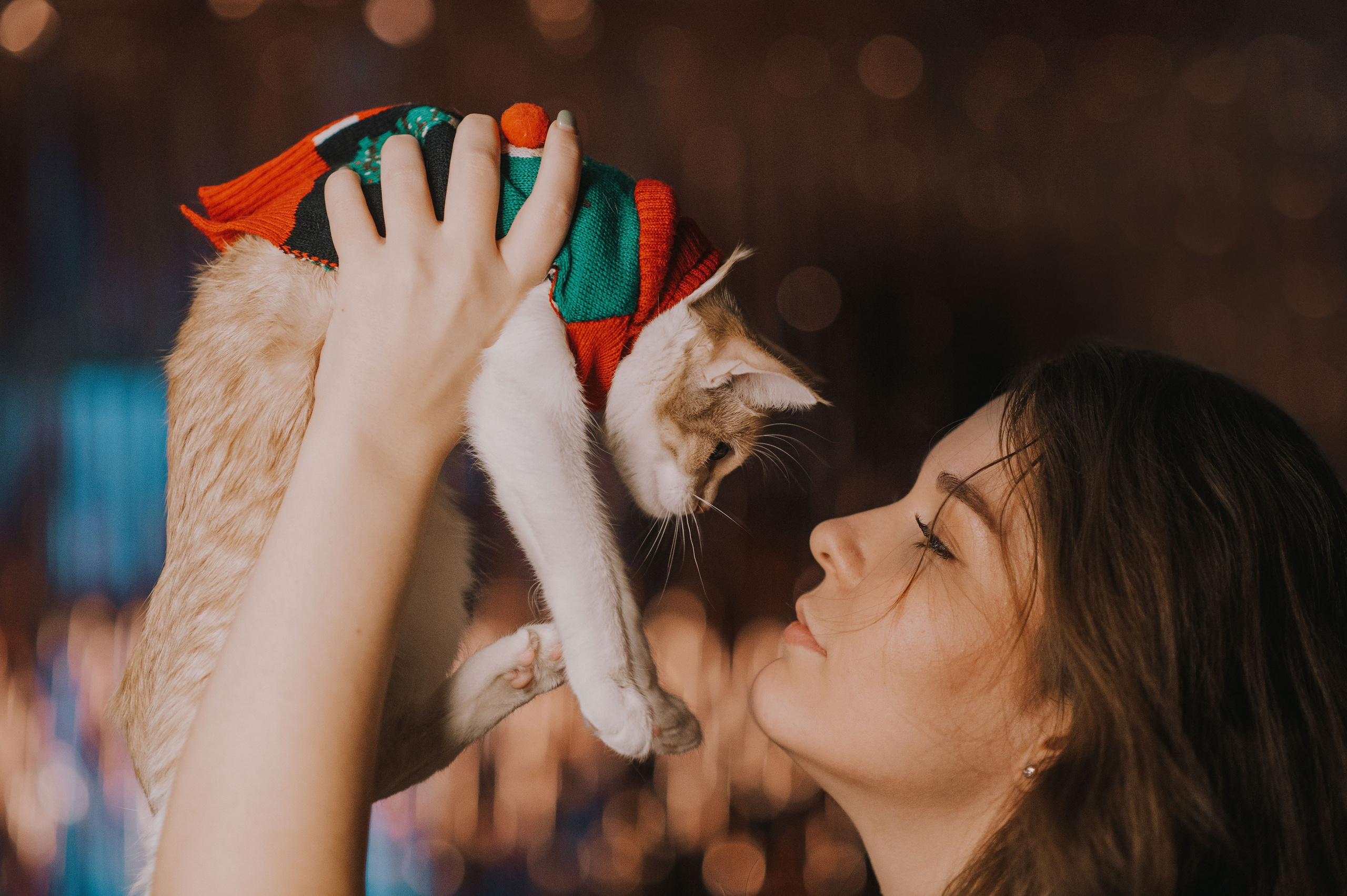 Котовая серия: Настя и Текилла (Королёв, 2022). Анна Пушина, фотограф, Москва, Королев, Пушкино