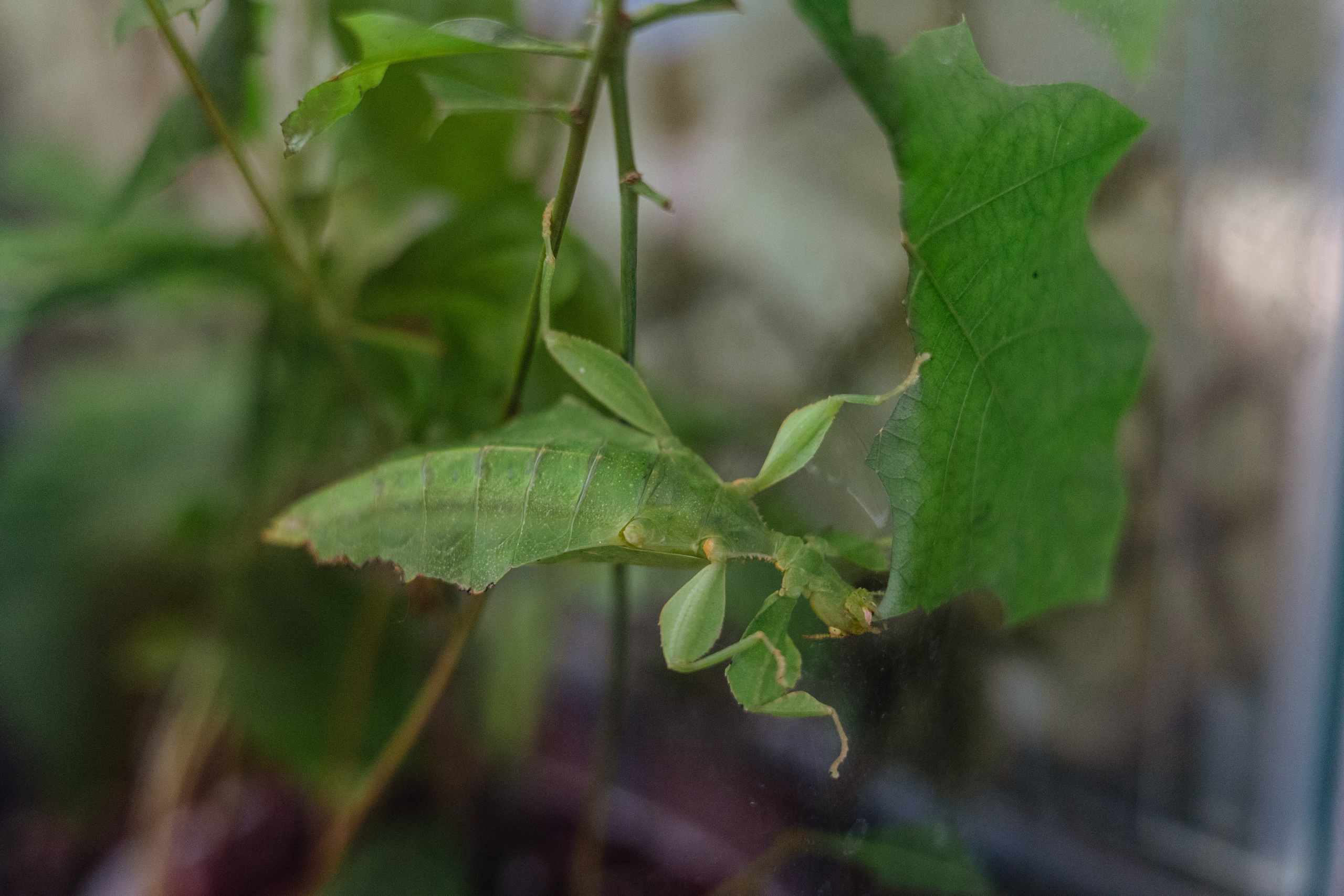 Московский зоопарк. Photographer Sonkina Tatiana (Tanya Ash)