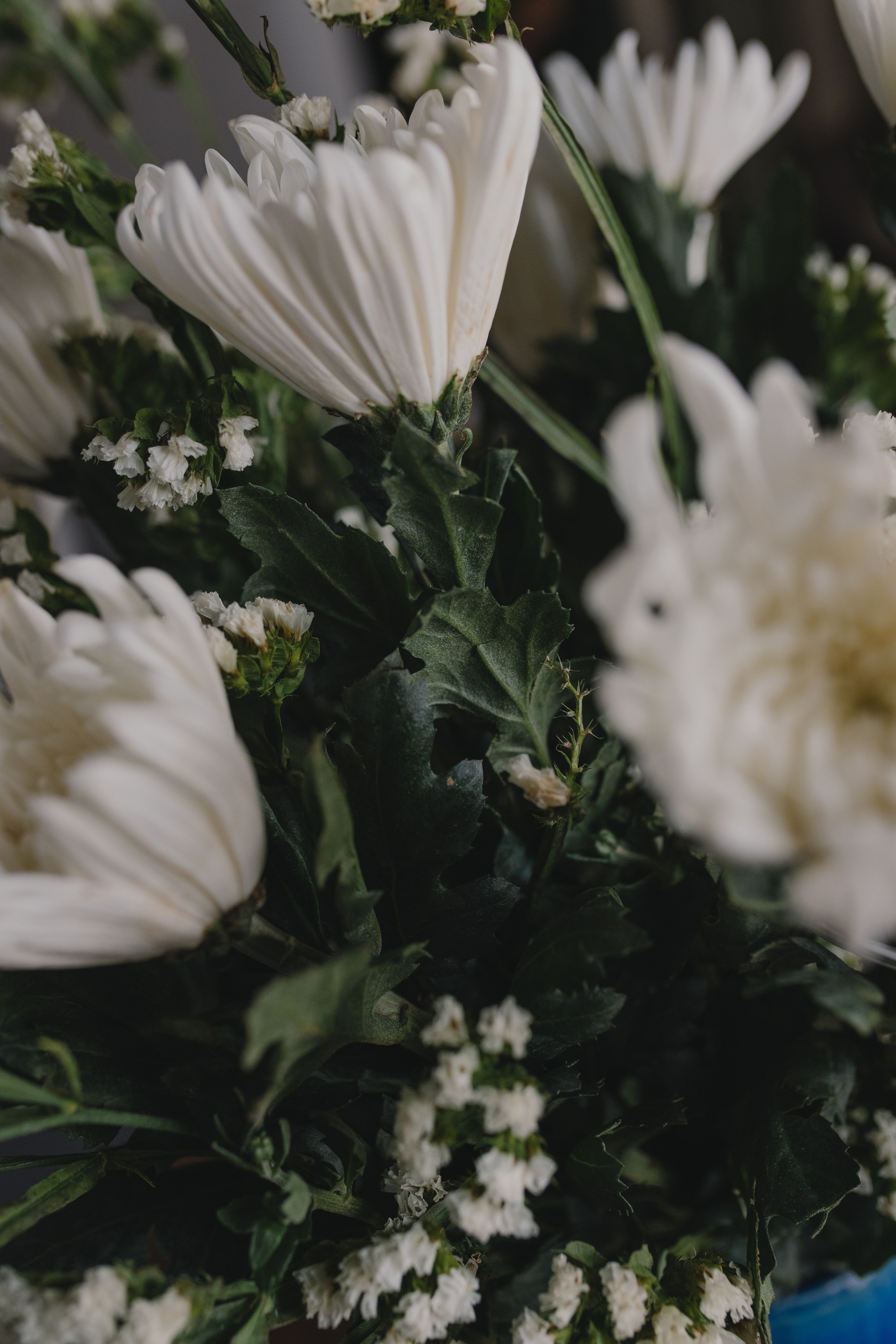 Языковой коуч/Татьяна. Главная