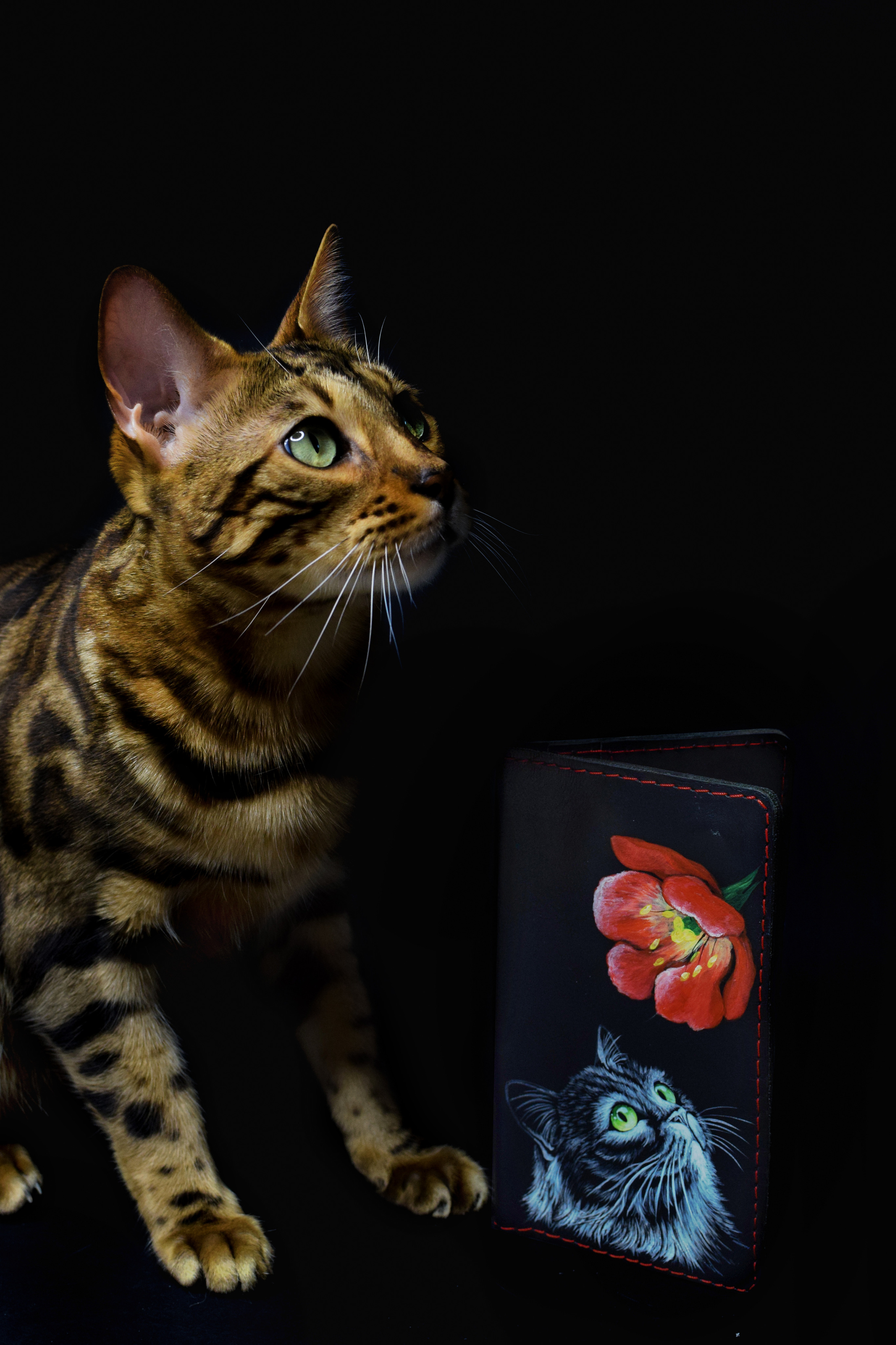 PRODUCT. Предметный фотограф, контент-фотограф