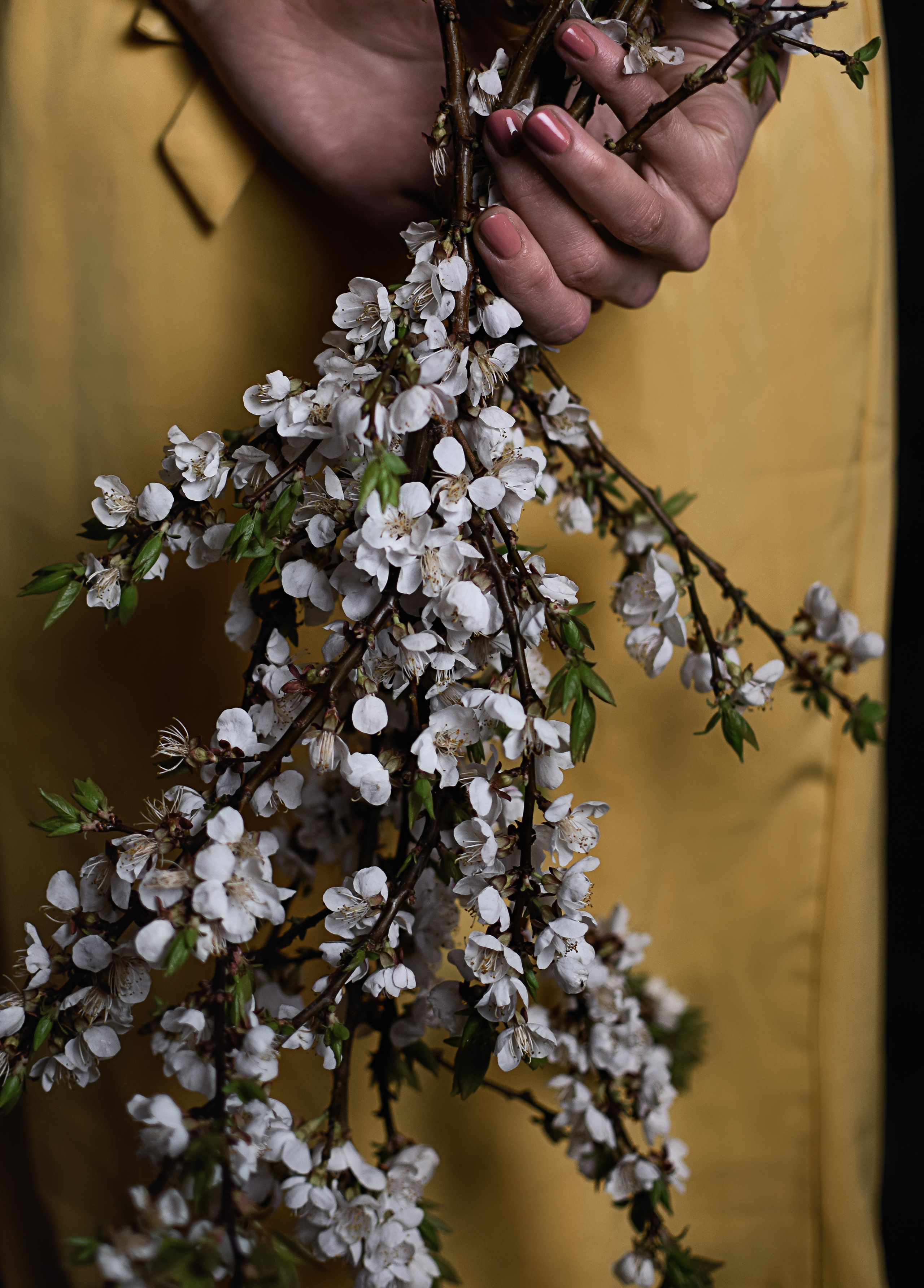 Татьяна. Предметный фотограф, контент-фотограф