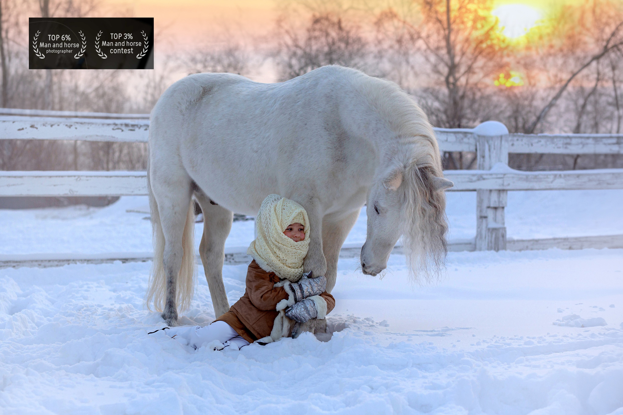 Главная. Конный фотограф в Красноярске — Любовь Похабова