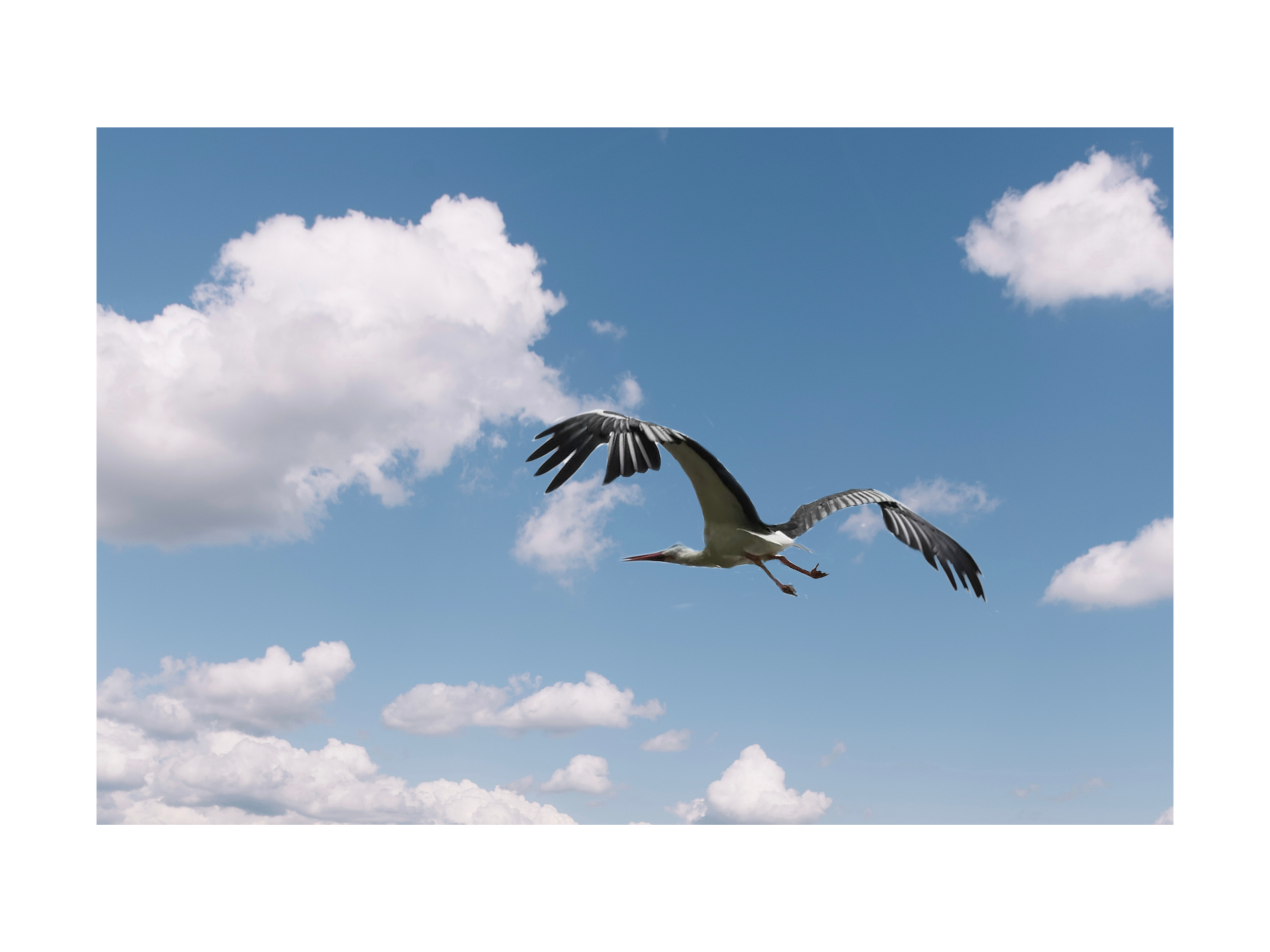 V&D. Профессиональный фотограф Юнаковская Оксана