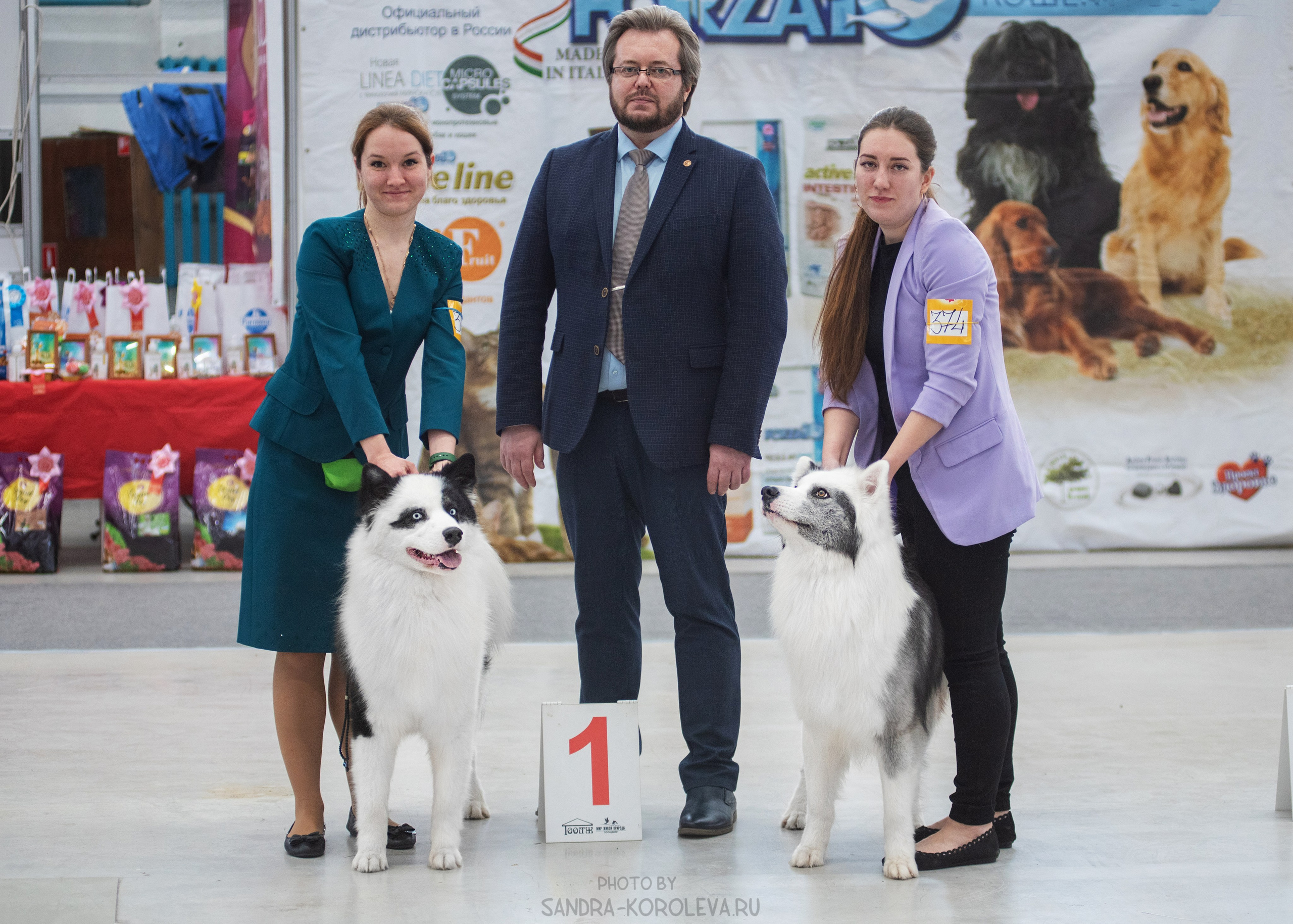 Выставка собак тюмень 14.01.2023. Дог-фотограф в Тюмени Александра Королева