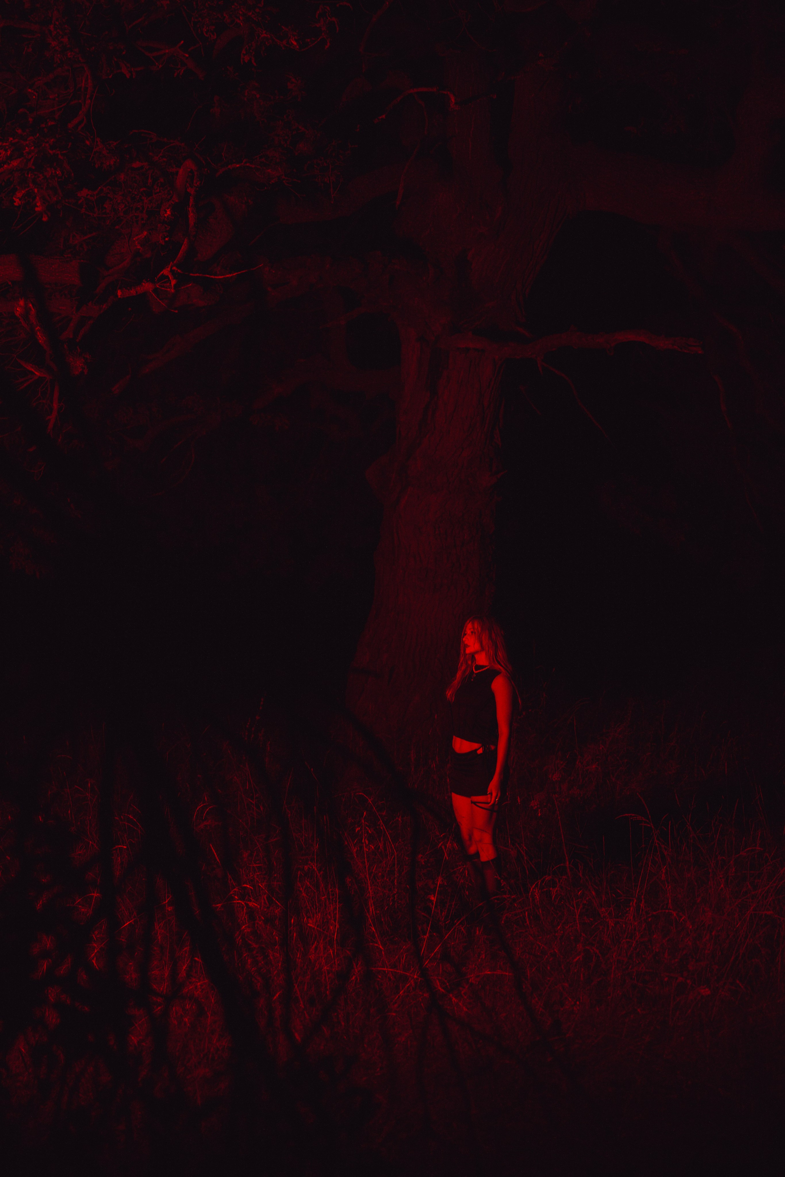 Ночной стиль дубов. Свадебный и репортажный фотограф Павел Царьков