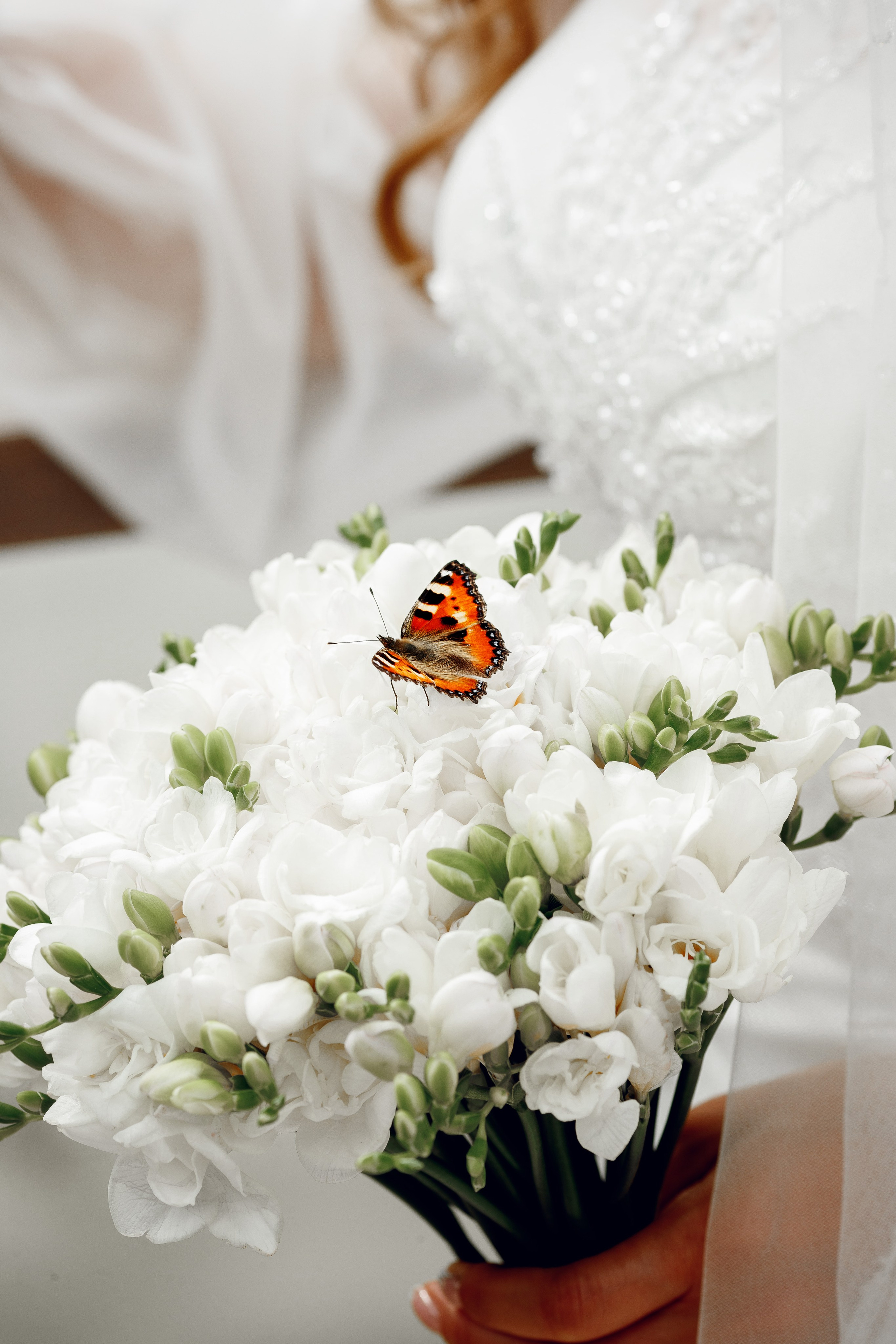 Саида и Влад. Свадебный фотограф Никитин Дмитрий Раменское Жуковский Москва