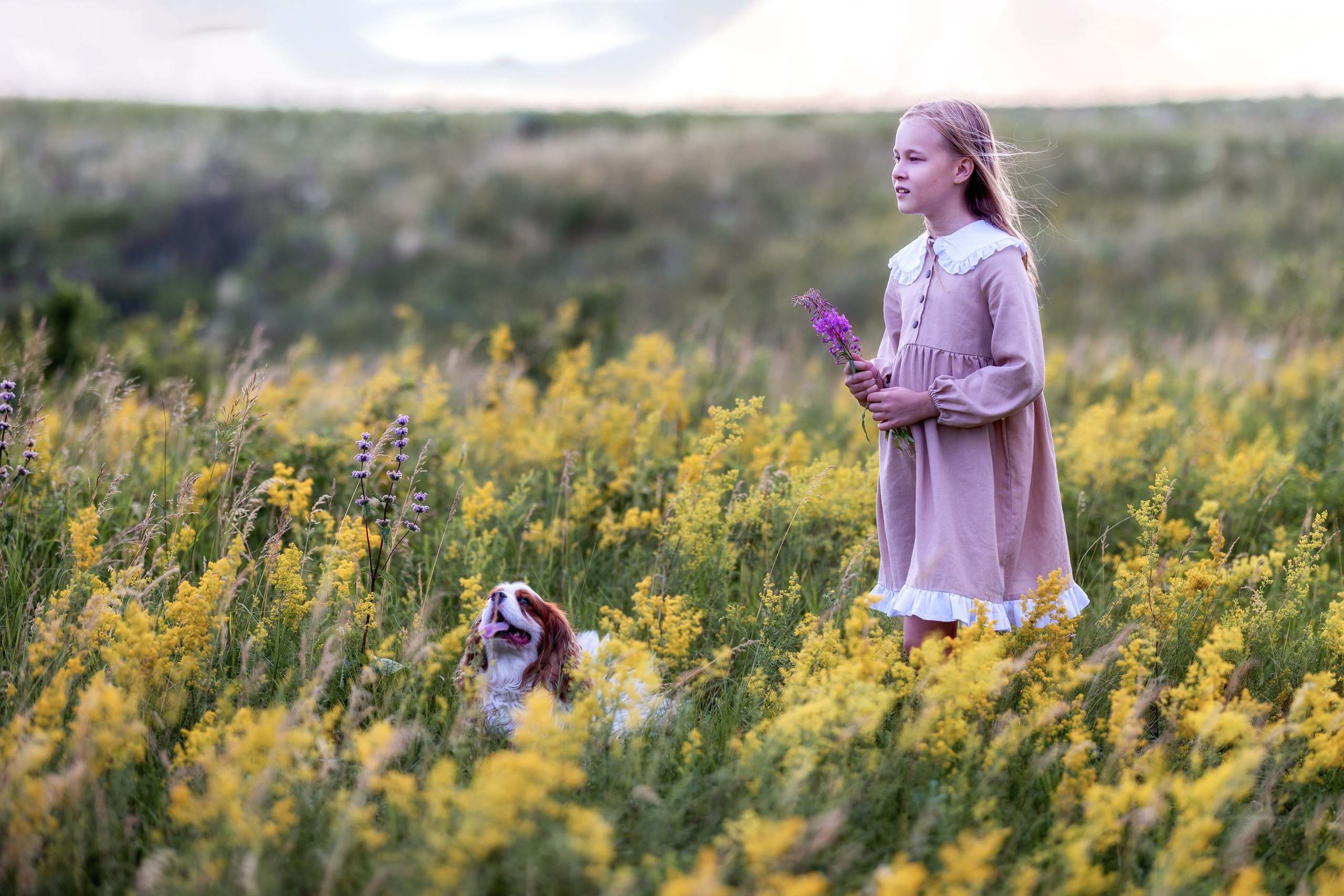 Цветущие поля. Семейный и детский фотограф в Красноярске, Дивногорцева Светлана