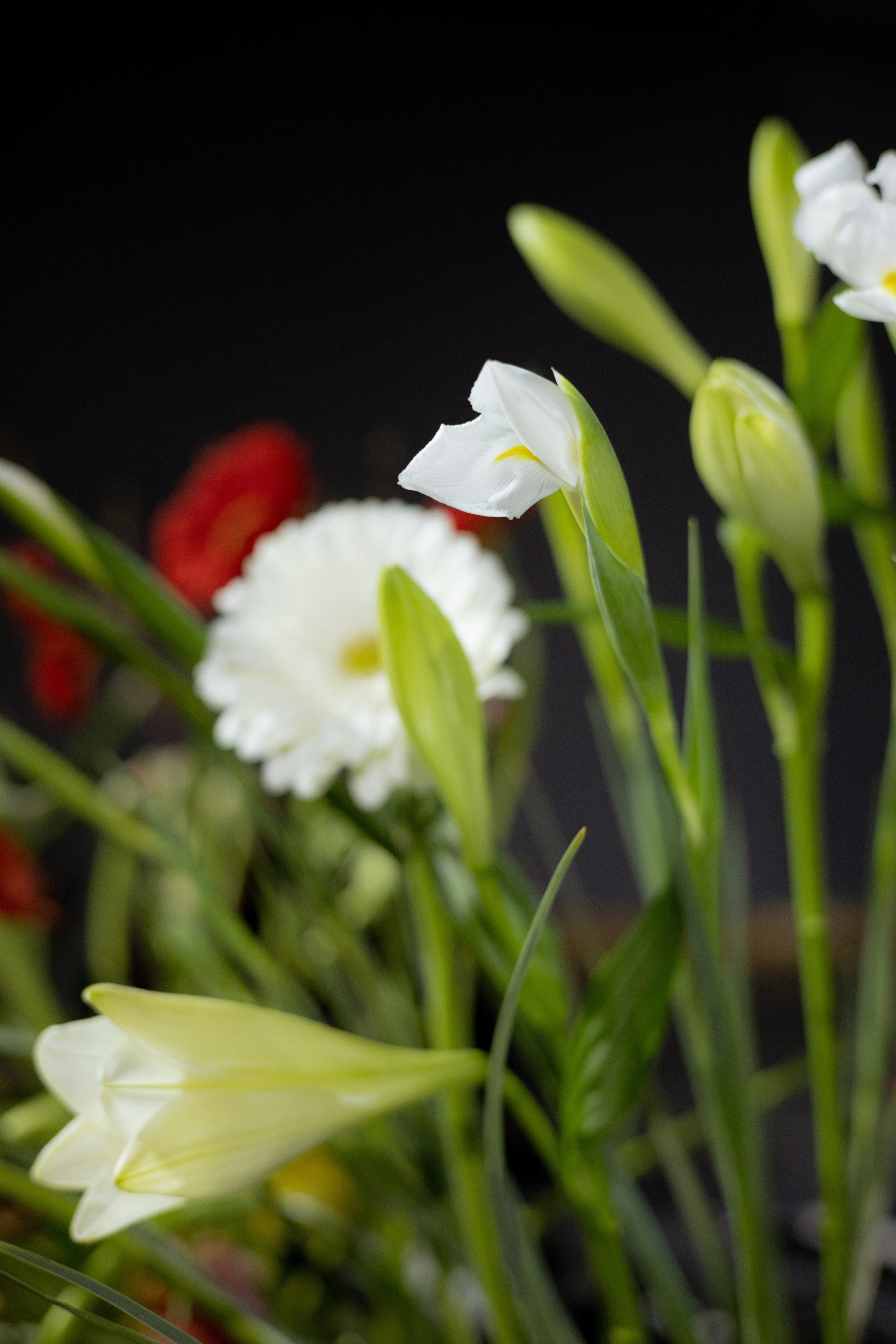 Оформление Отчетного концерта Музыкальной школы Глазунова. Оформление свадеб, декор свадеб Вера Маркова, Москва