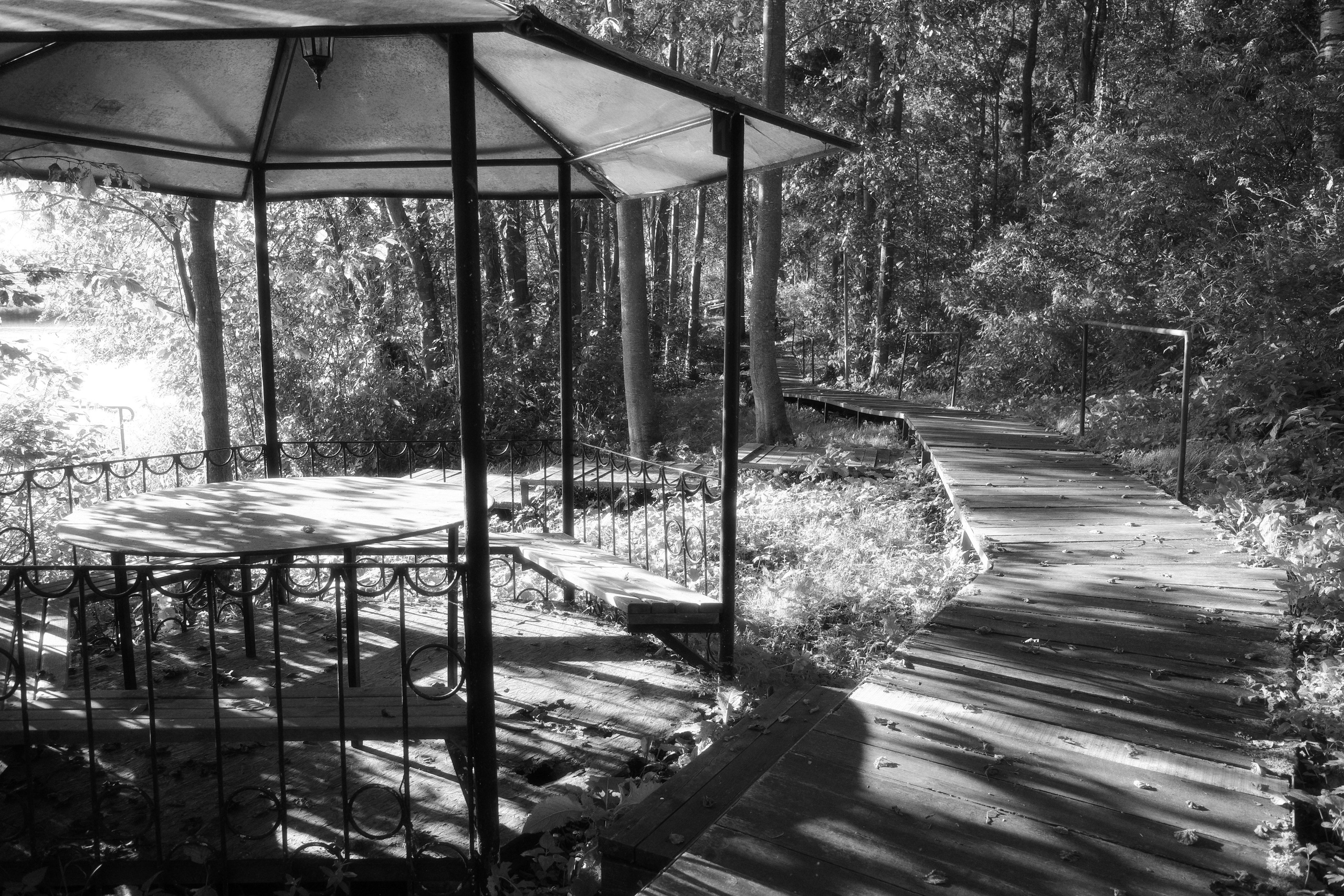 Галерея Ricoh GR3 HDF. Константин Устинов — фотограф