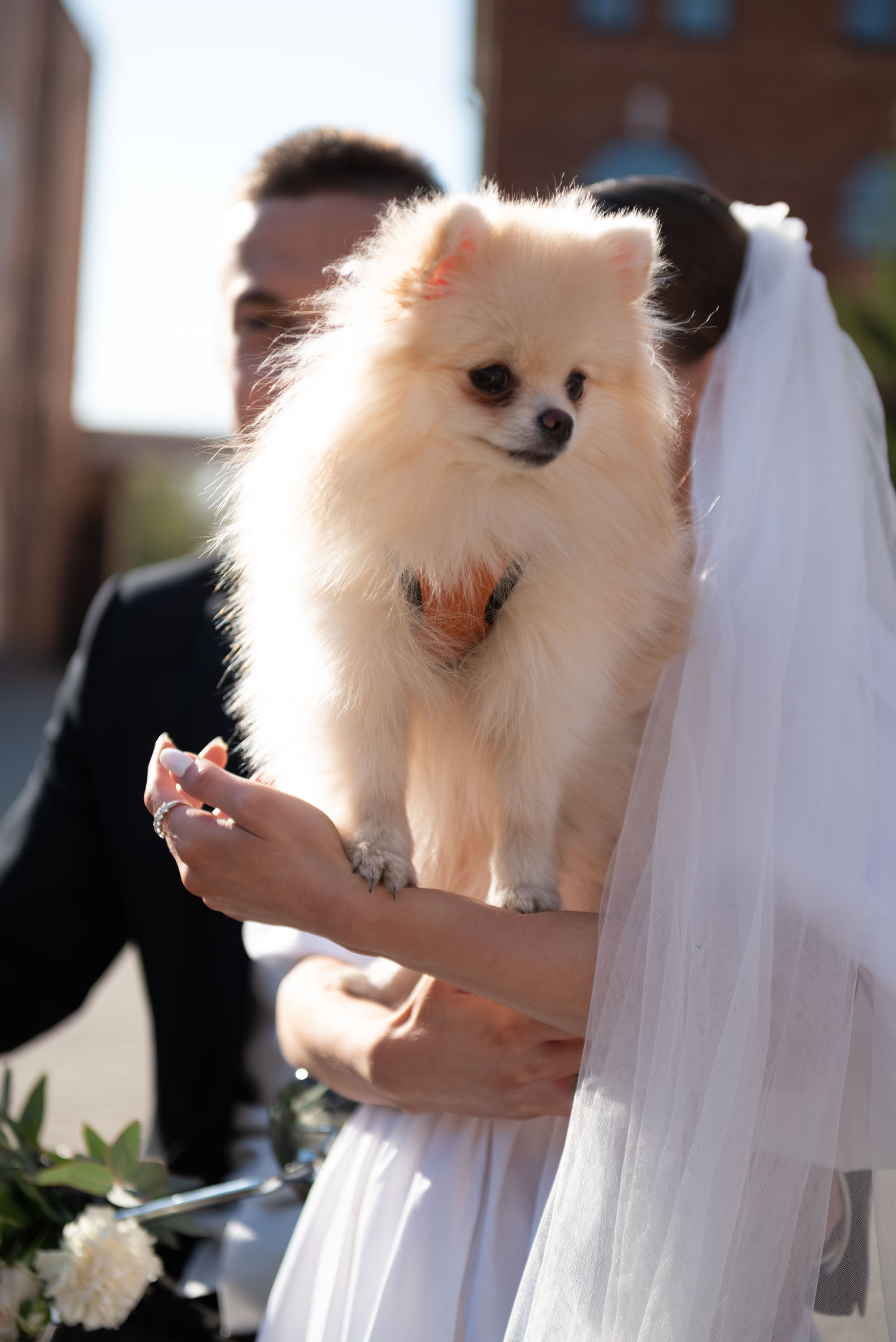 Свадьбы. Семейный и детский фотограф в Новомосковске Елена Маврина