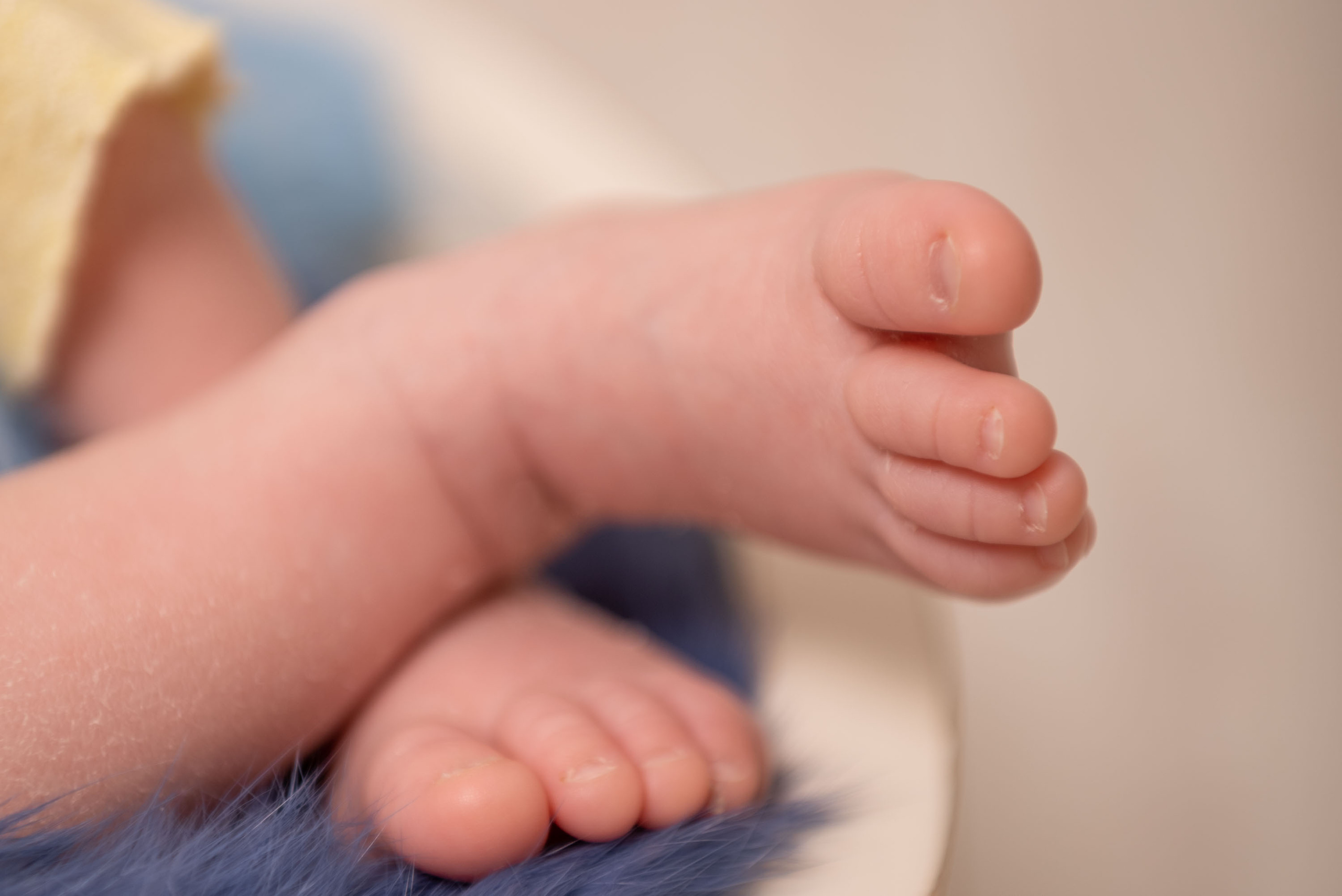 Newborn. Семейный и детский фотограф в Новомосковске Елена Маврина