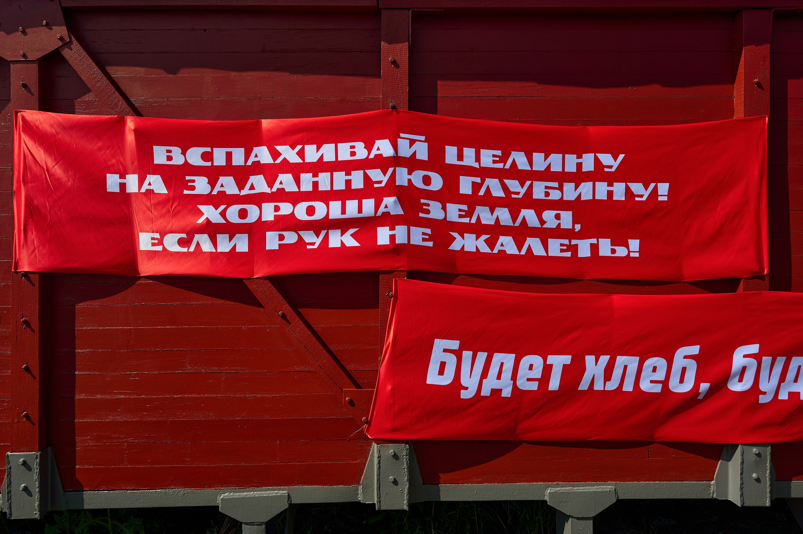 День поля. Фотограф Опыт Качество Скорость Горный Алтай Барнаул