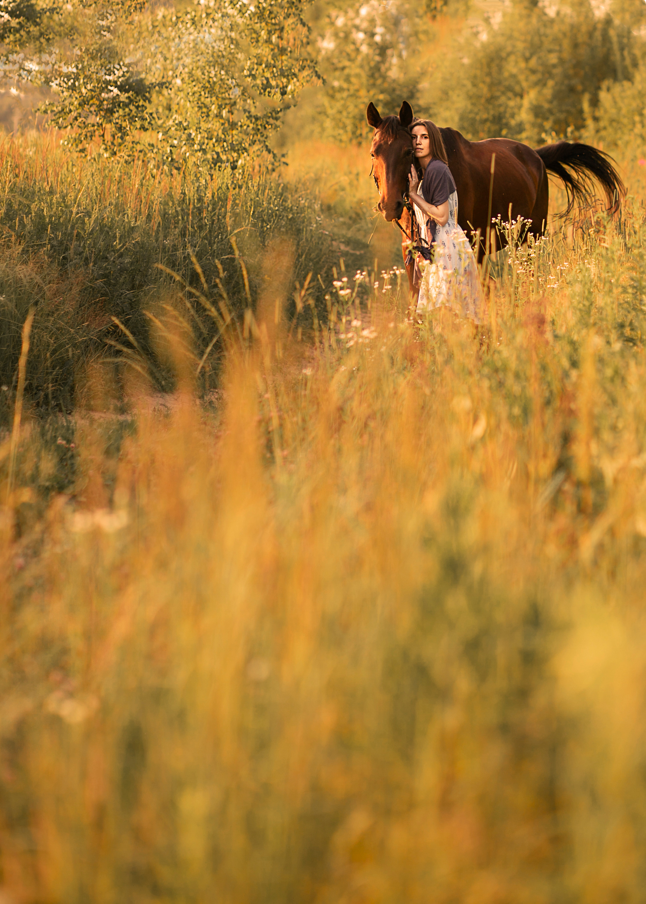ПОЛЕ, ЛОШАДКА, ДЕВУШКА…. Арт-фотограф в Москве Елена Иванова