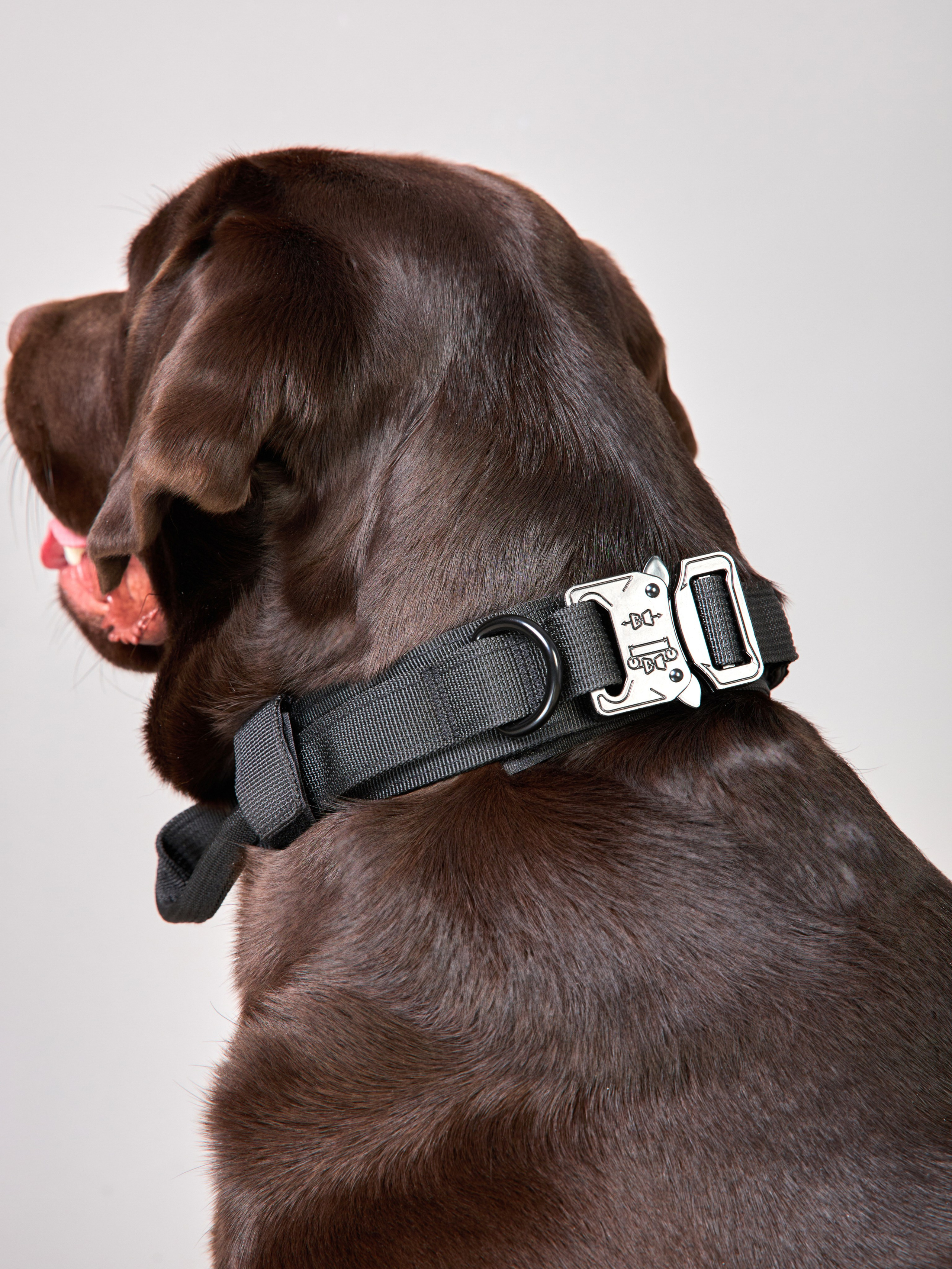 Предметная съемка товаров для животных. Съемка товаров для животных. Предметная съемка. Предметный фотограф Орехово-Зуево