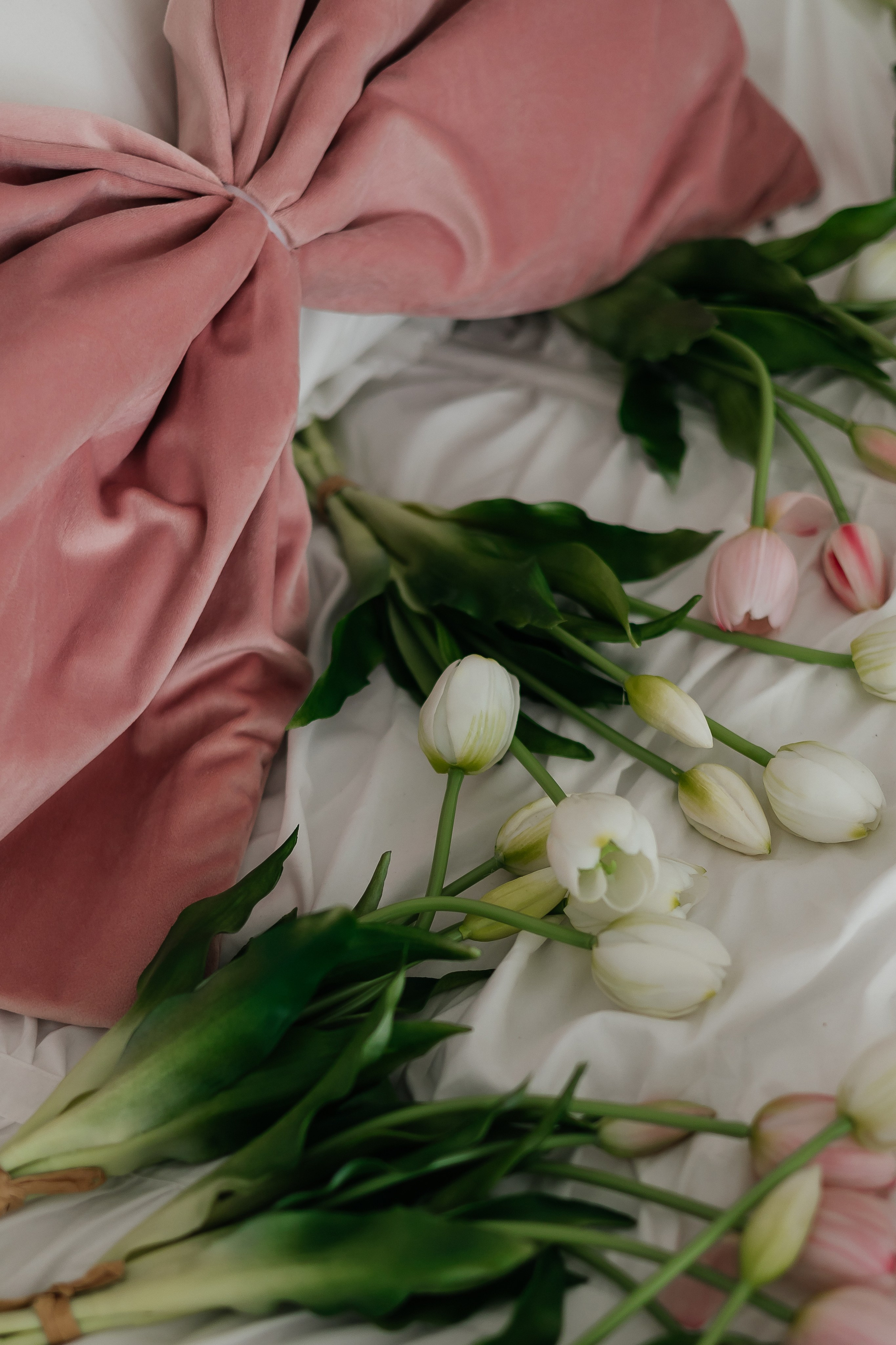 Кристина. Фотограф Калуга