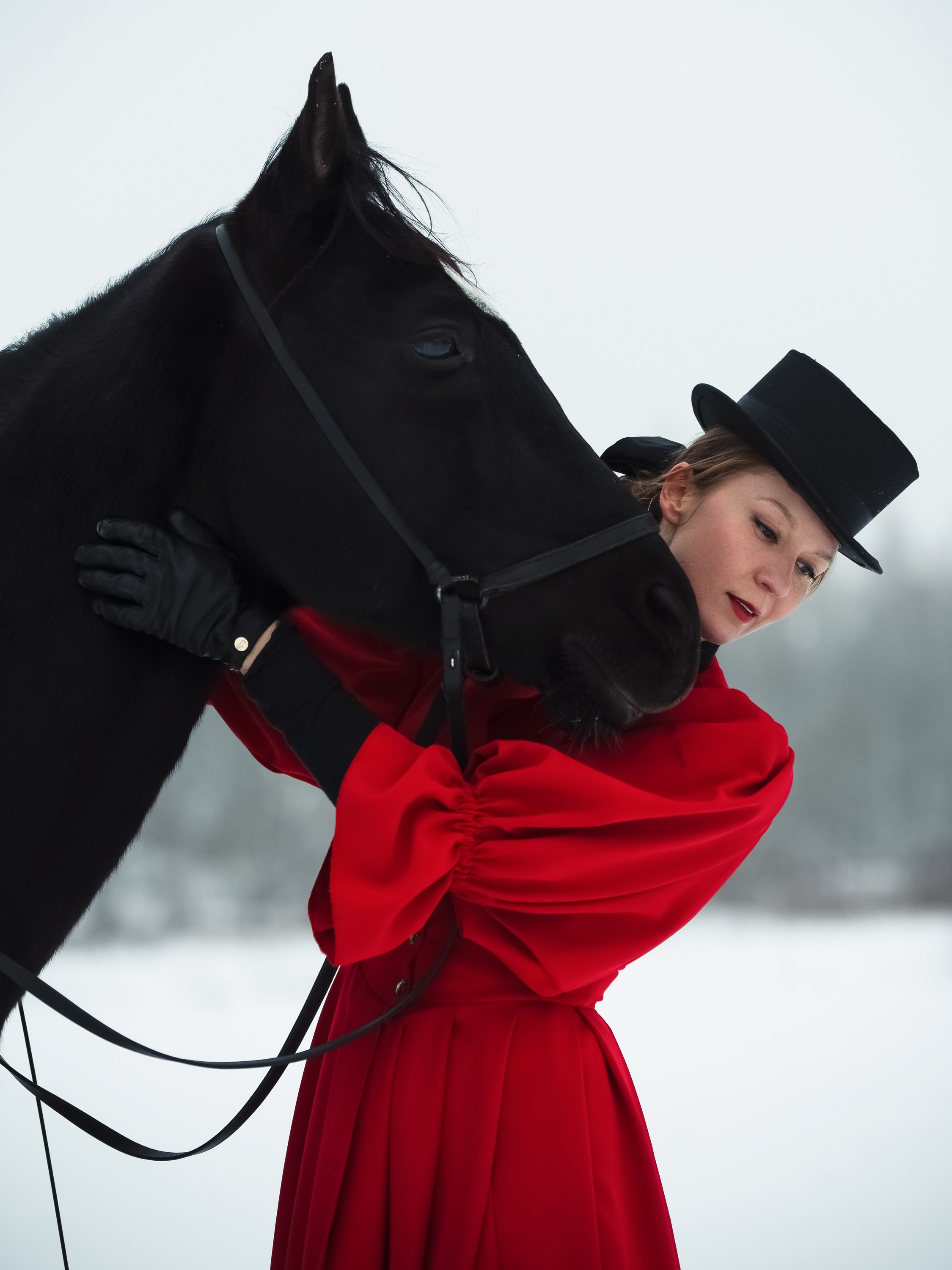 Фотосессии с лошадьми в Санкт-Петербурге. Съемки с лошадьми. Фотограф в Санкт-Петербурге. Съемки с лошадьми