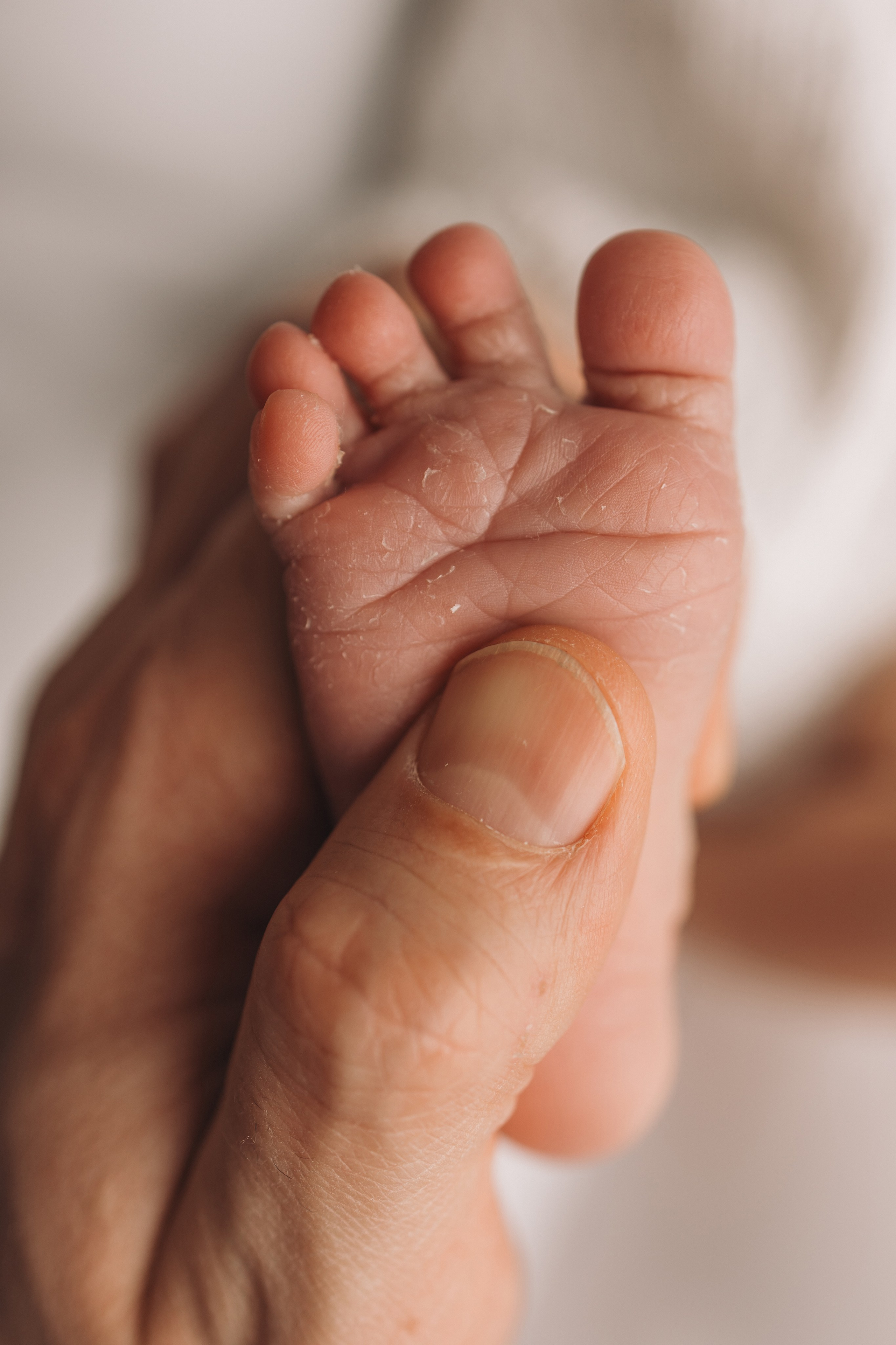 Лев 7 дней. Фотограф новорождённых Newborn Москва