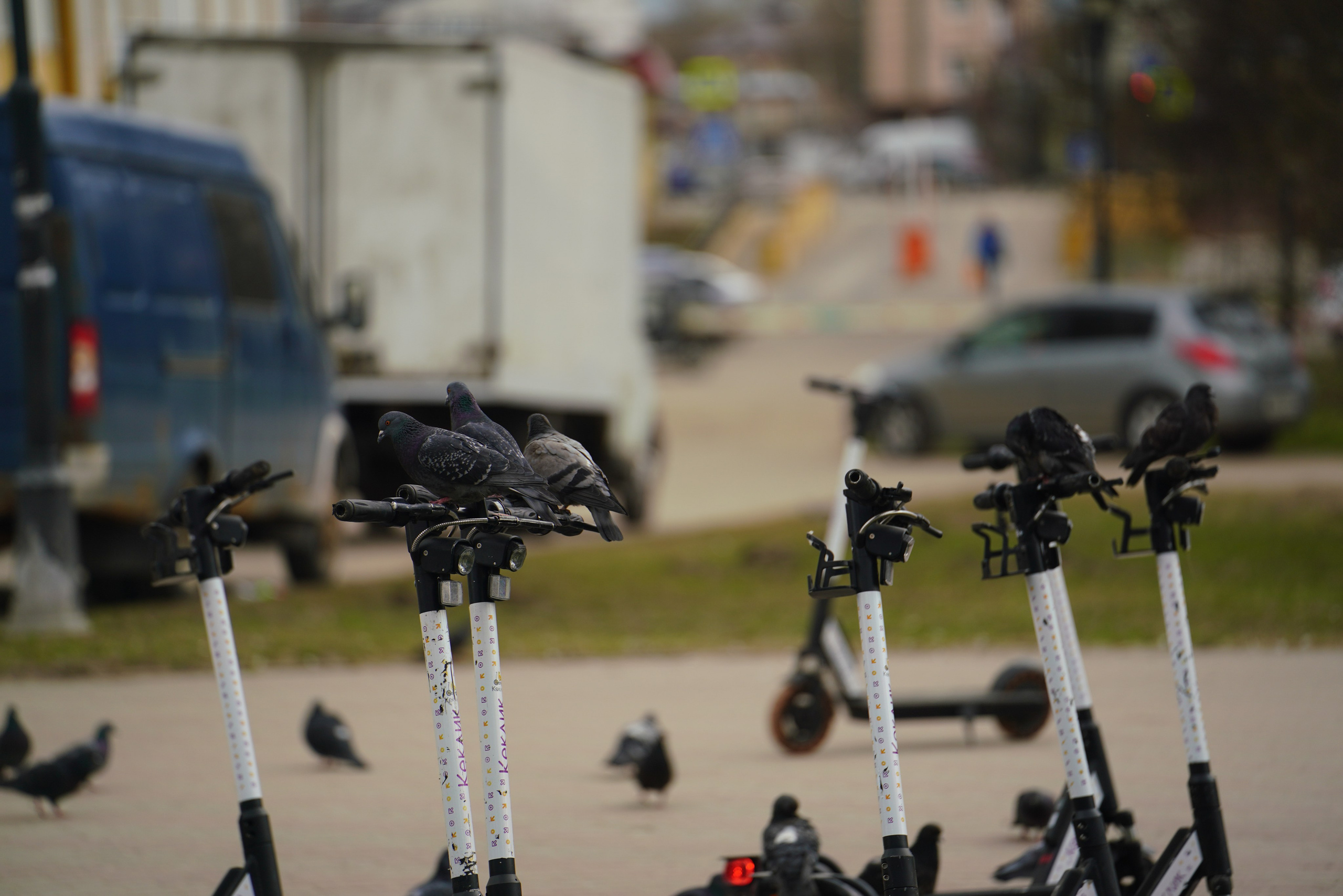 Иваново, Март–Апрель 2022