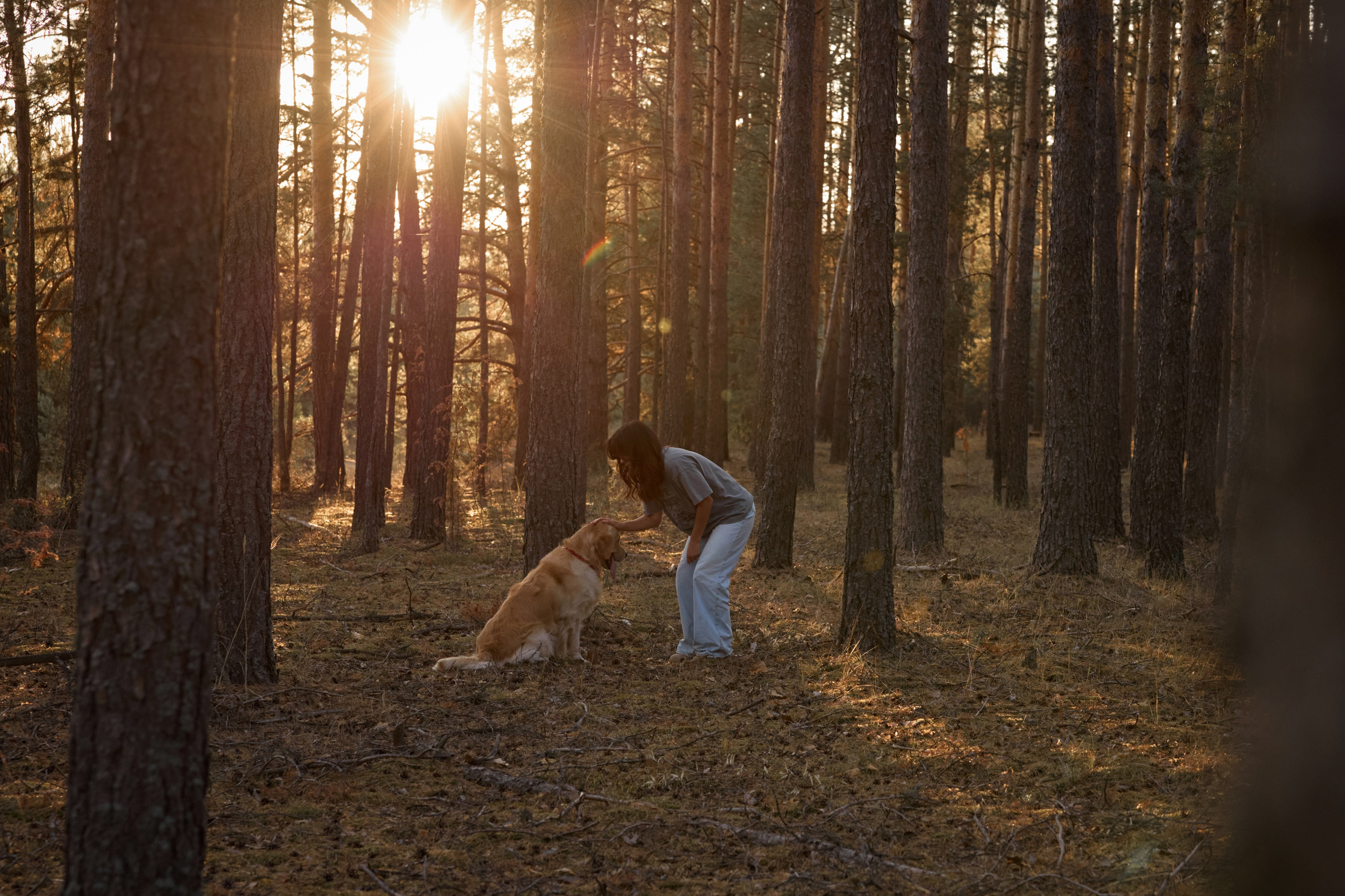 В Марийских лесах. Фотограф анималист в Казани Алина Сулейманова. Фотограф животных