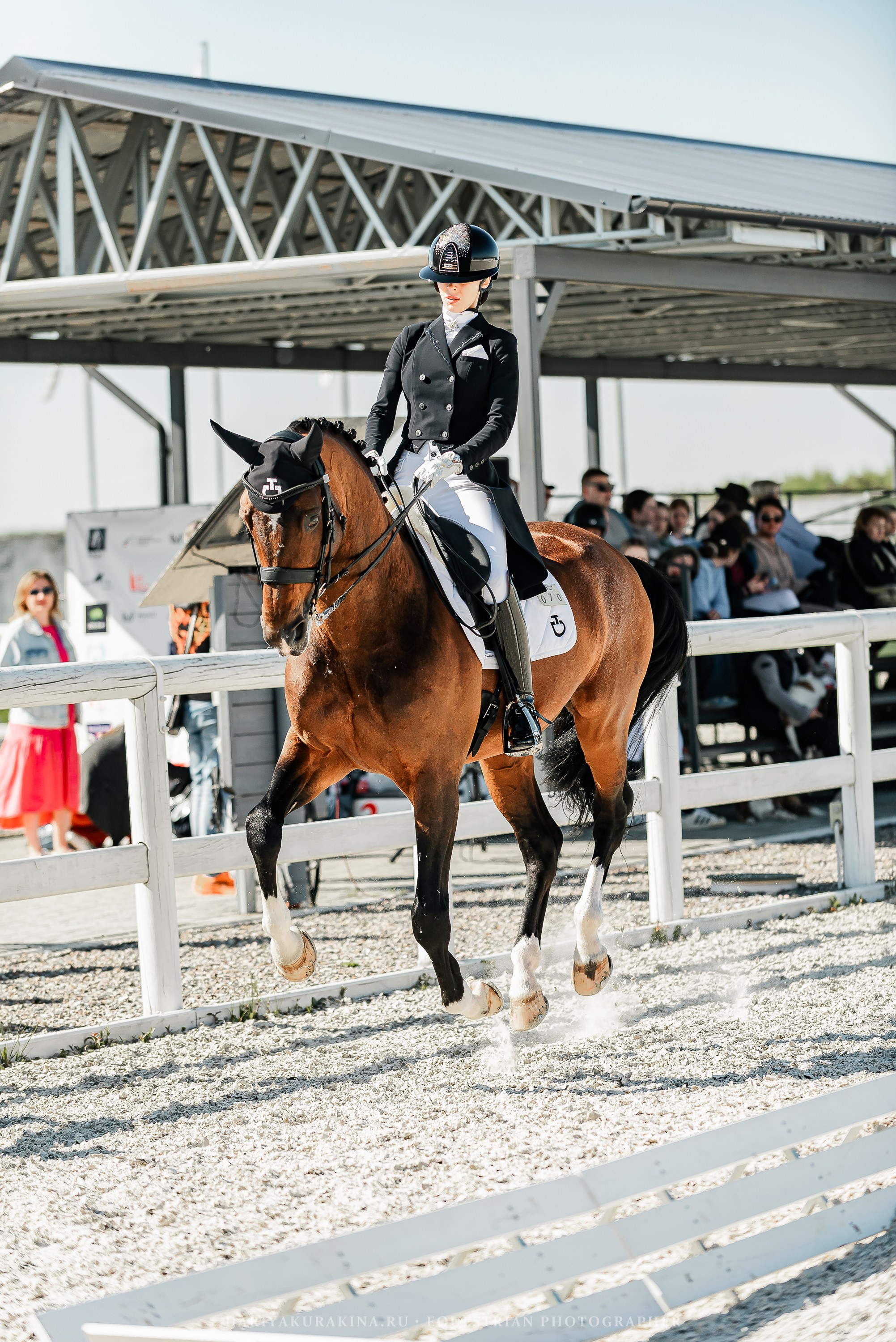 РЕПОРТАЖ МКК ВОЛЬТ «LA TULIPS». Конный фотограф Куракина Дарья • Фотосессии с лошадьми
