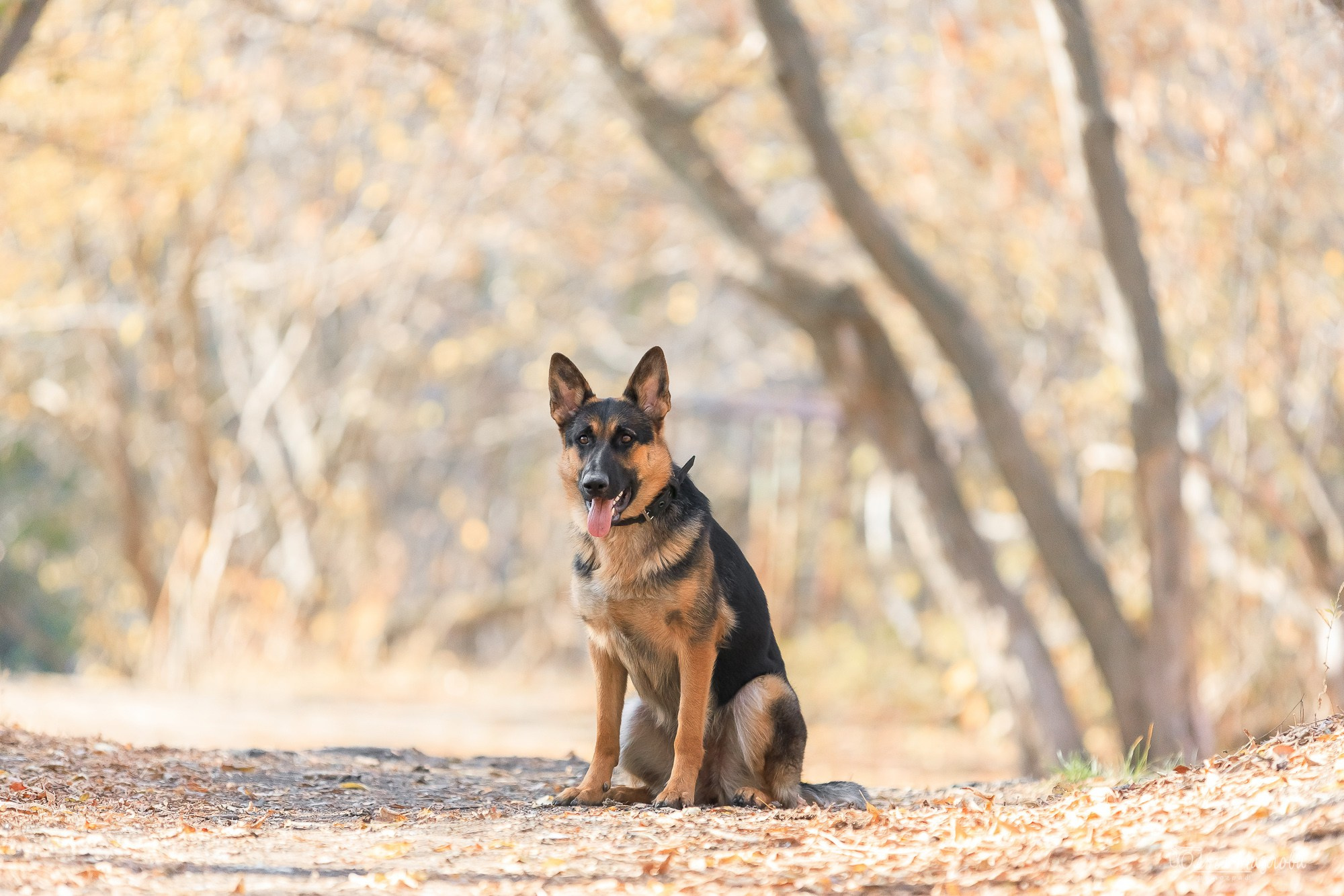 Наталья и Лекса. Фотограф в Саратове Ольга Мазлова