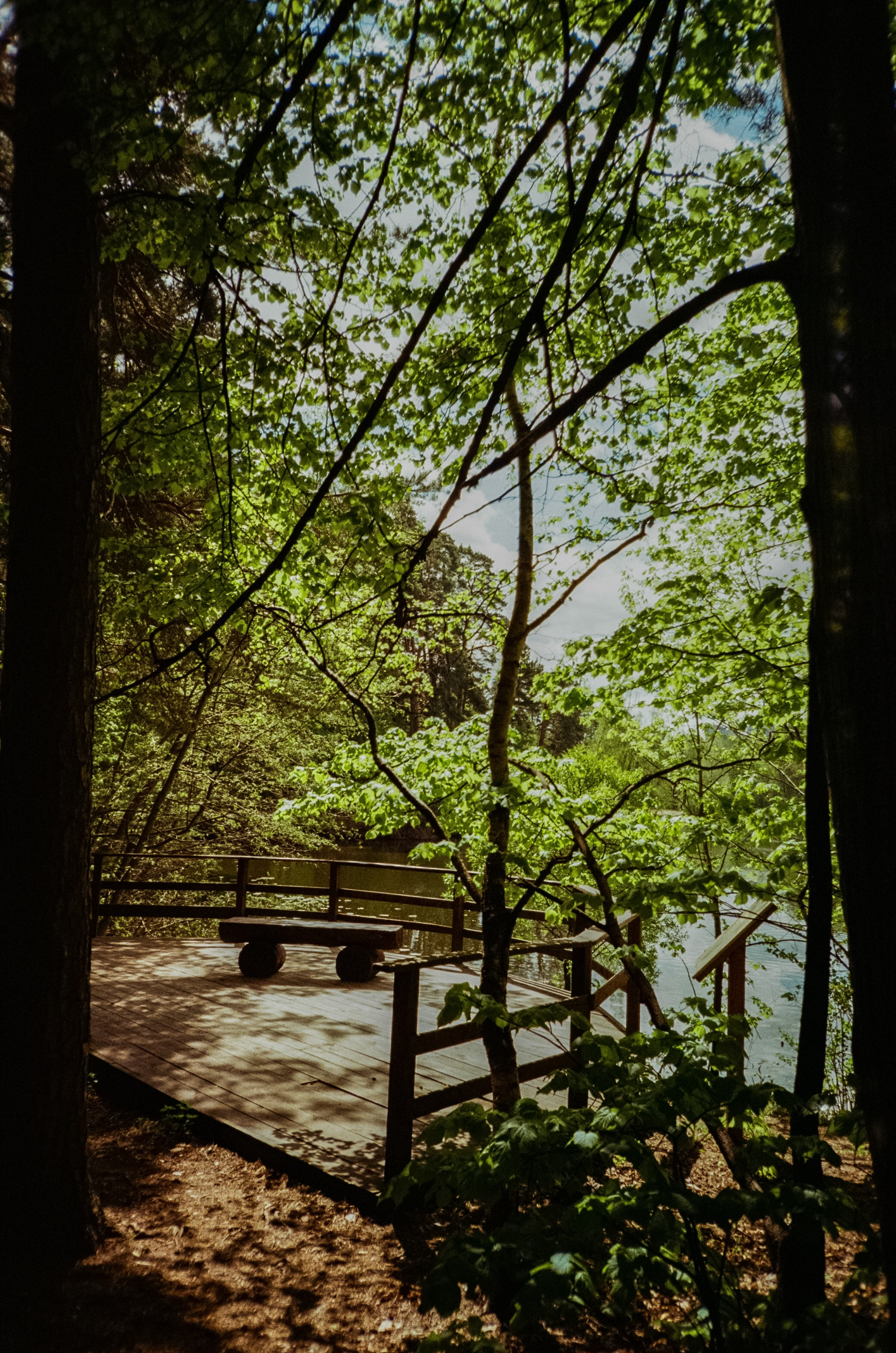 Ricoh R1 | Kodak ProImage 100 | 6 мая 2025 года СерБор