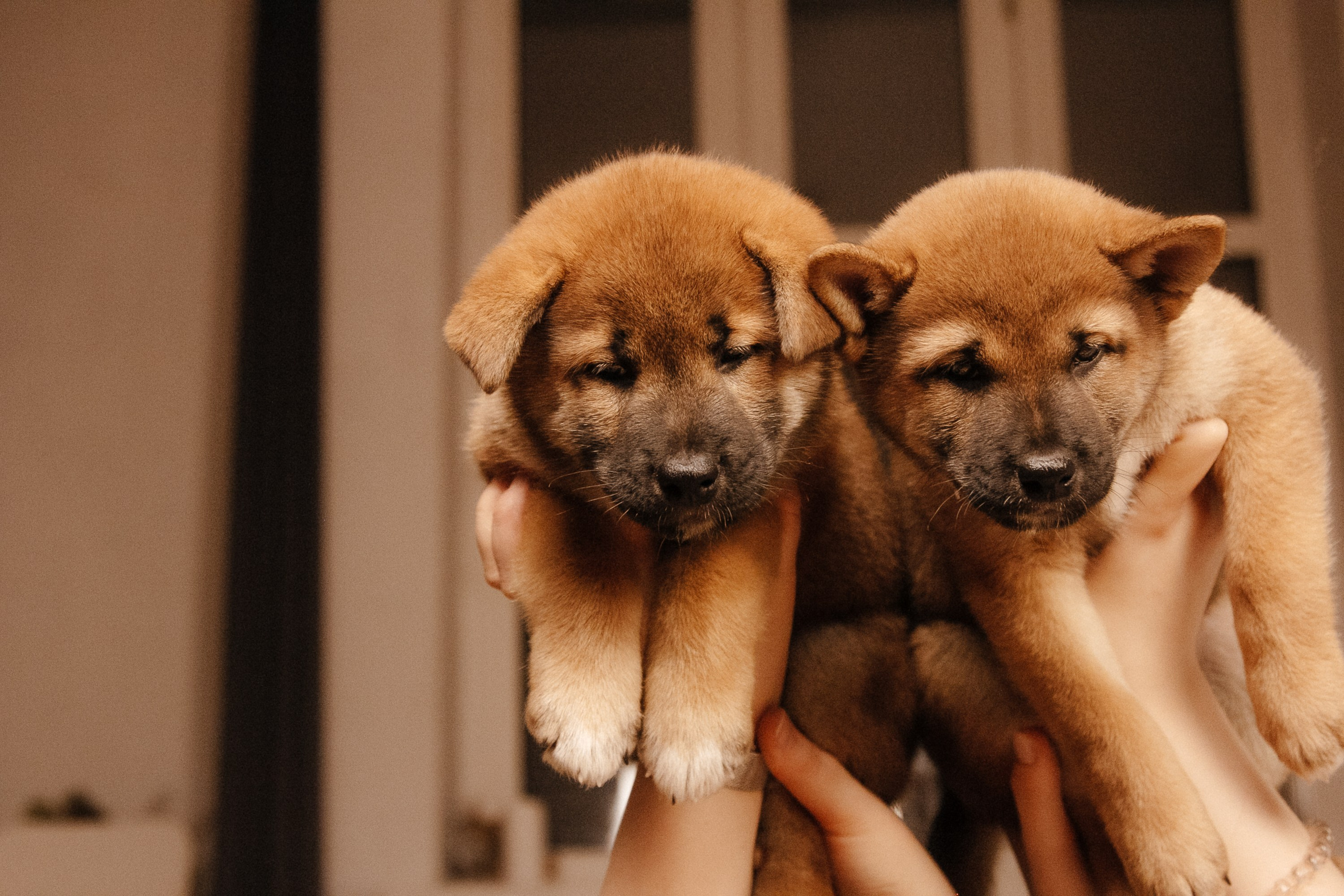 LOVE. Семейный фотограф Казань Никита Федин