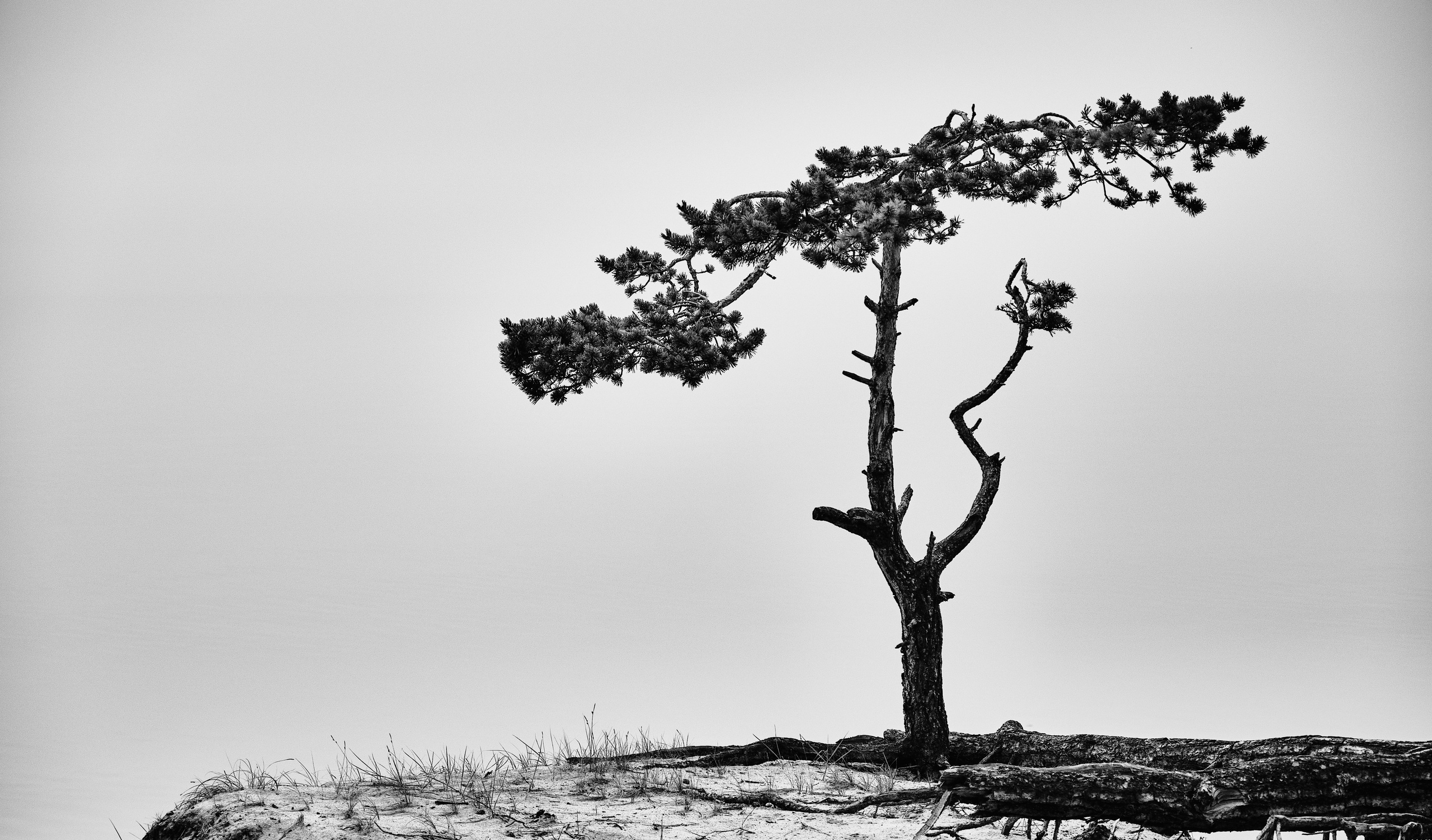 Москва — Владивосток. Охота за образами Мира. Shaltay Gallery