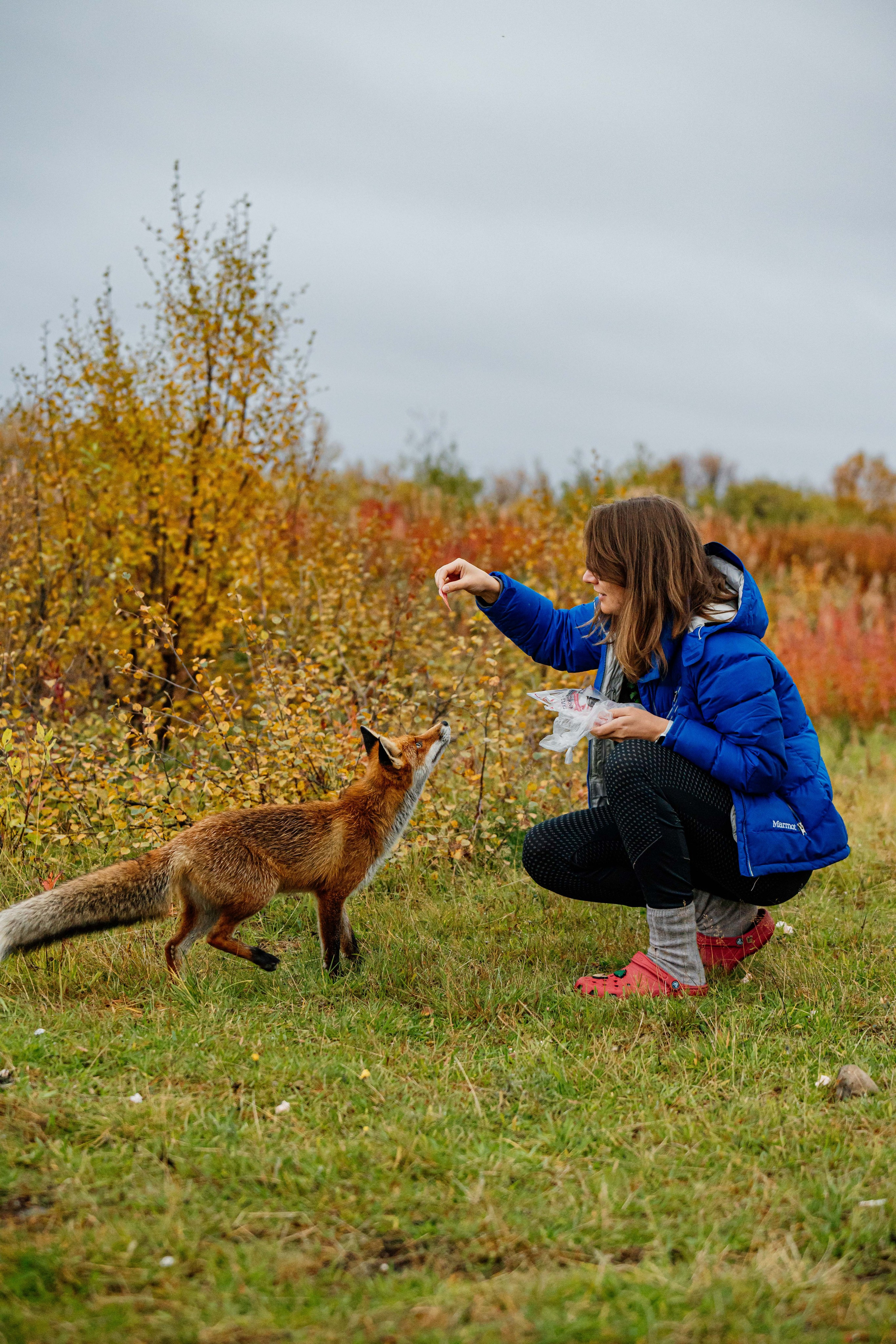 СЕВЕР. Event фотограф Степанова Александра