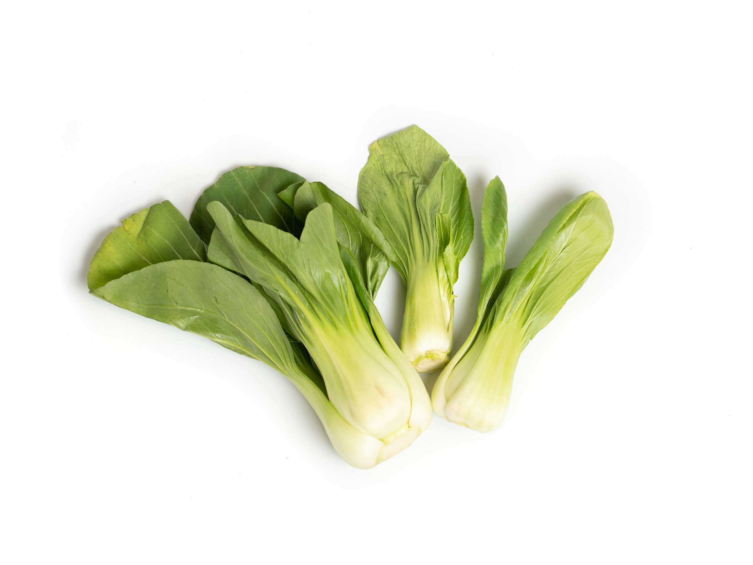 Яндекс Маркет. Предметный и фуд-фотограф в Москве Анна Царенко