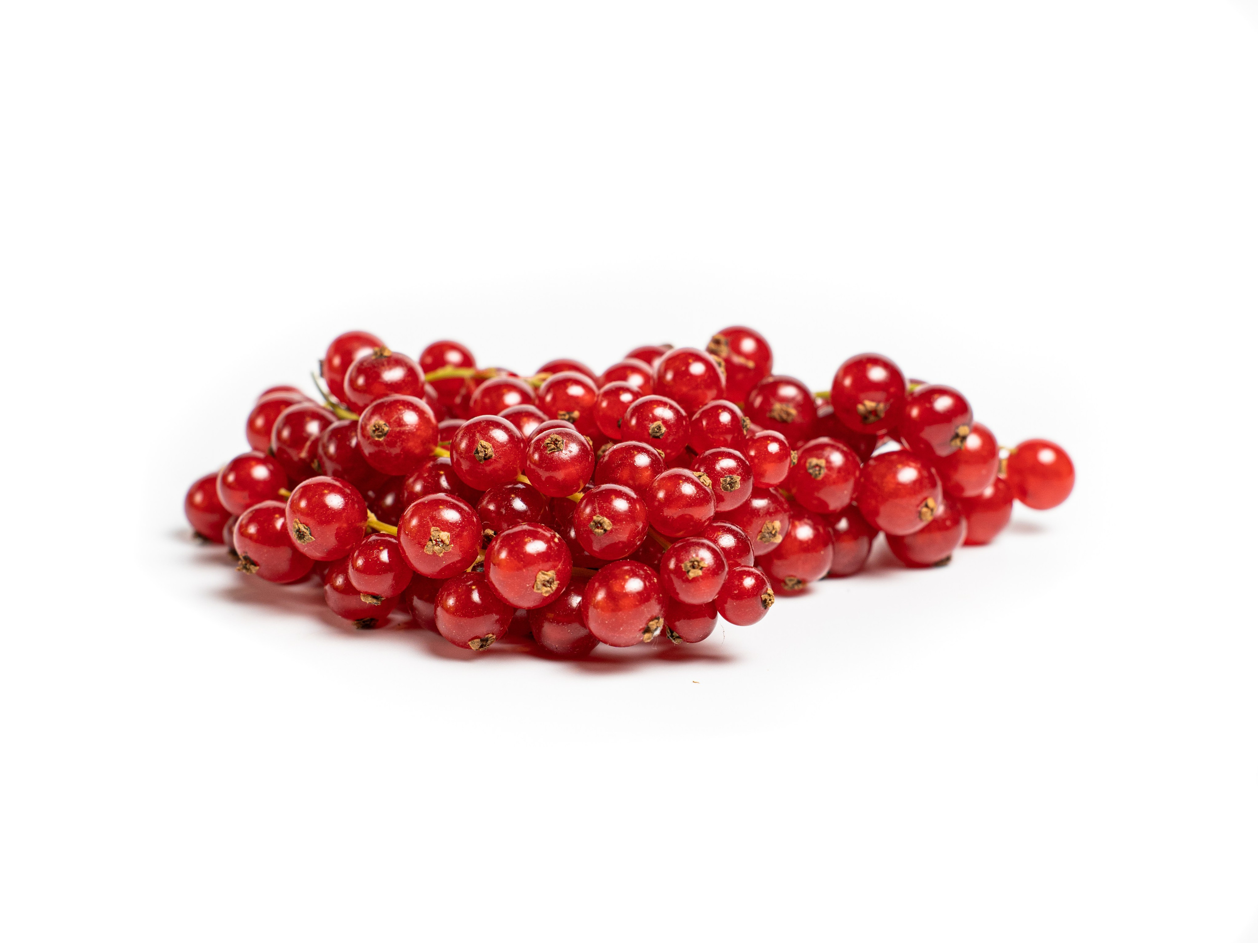 Яндекс Маркет. Предметный и фуд-фотограф в Москве Анна Царенко