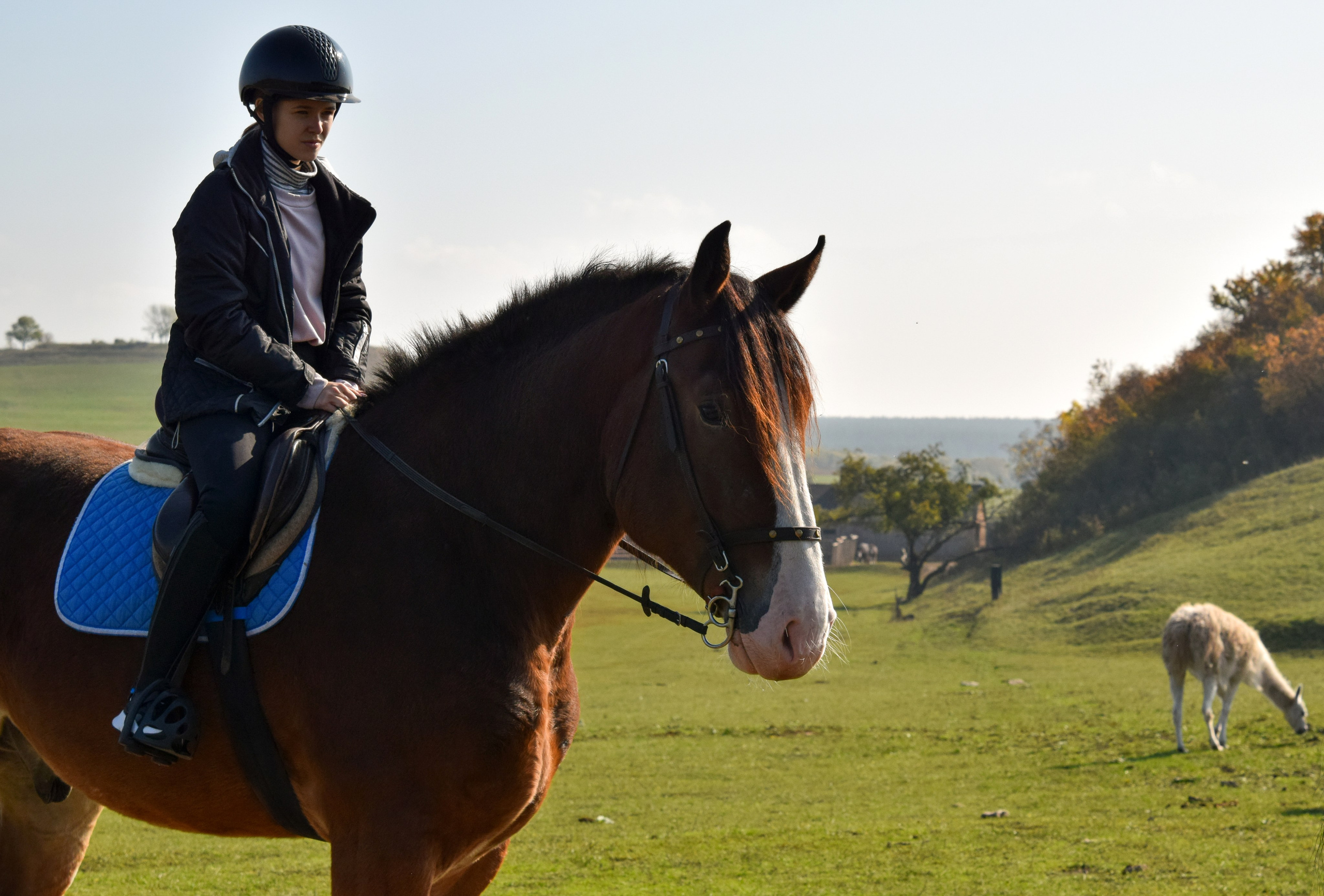 Кудыкина гора. Конный фотограф в Саратове Юлия Иванова
