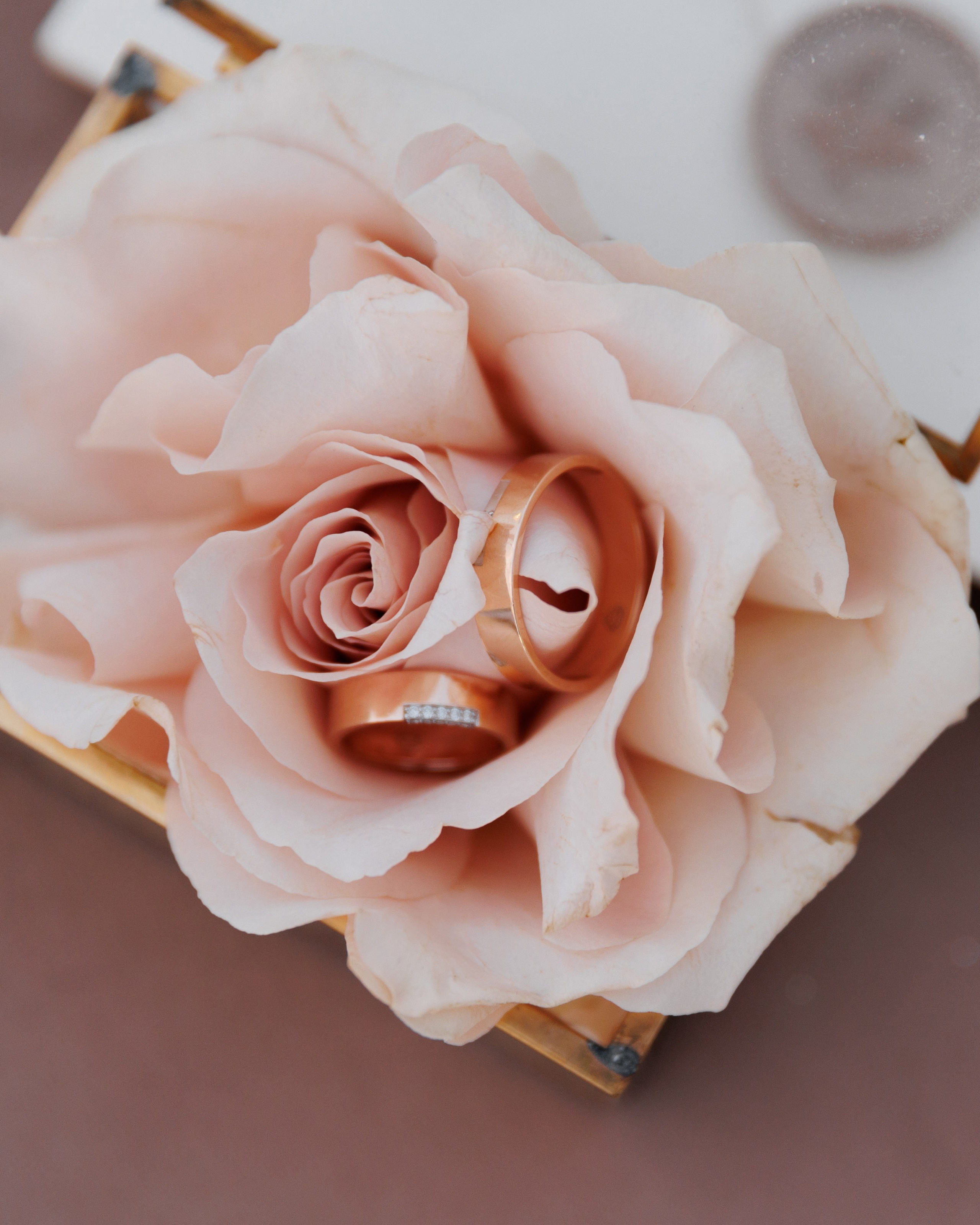 Артем и Юлия. Фотограф Краснодар Юлия Бураченко Свадьбы Репортаж Семейные Индивидуальные съемки