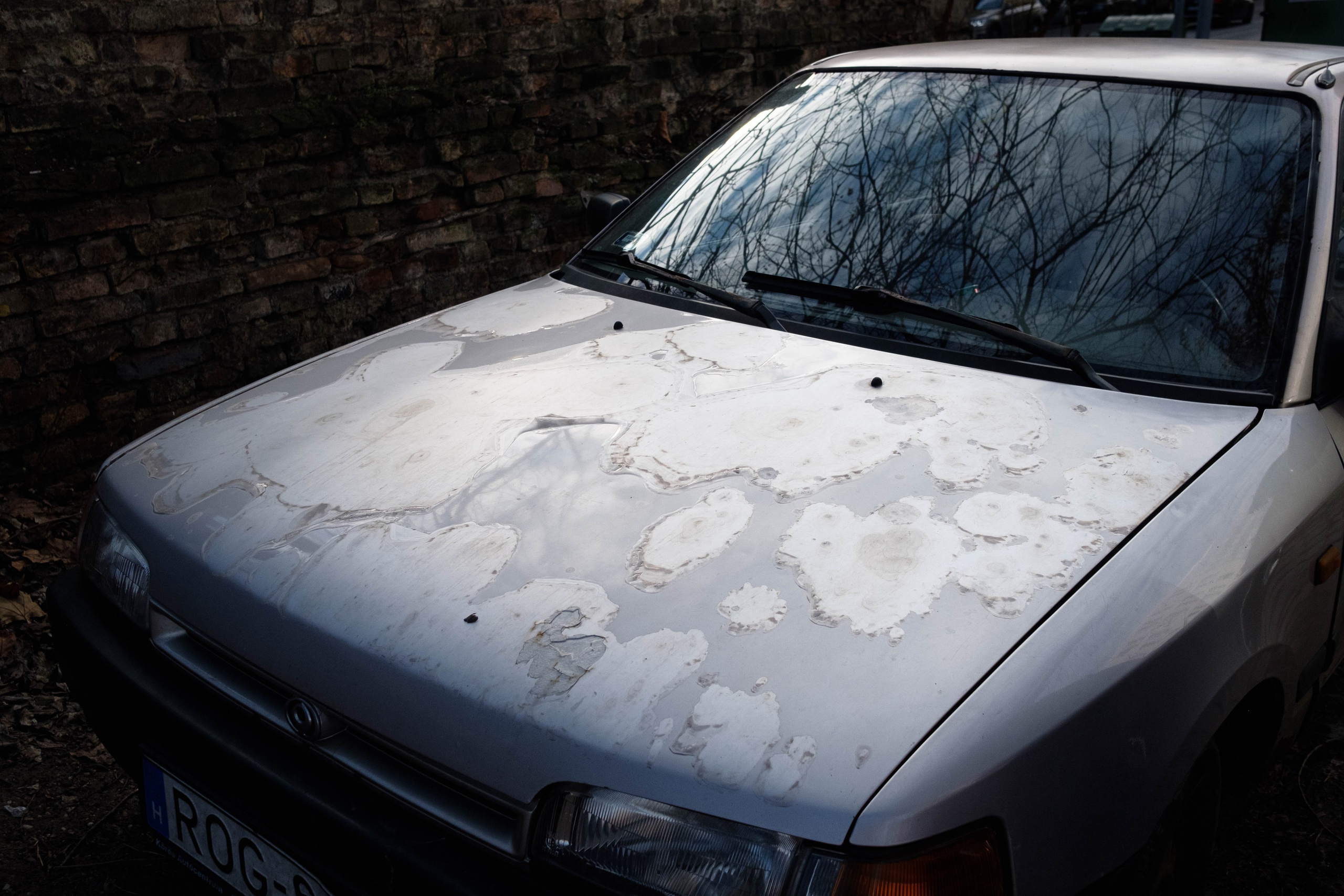 Simple. Photos. Photographer, Documentary and Art