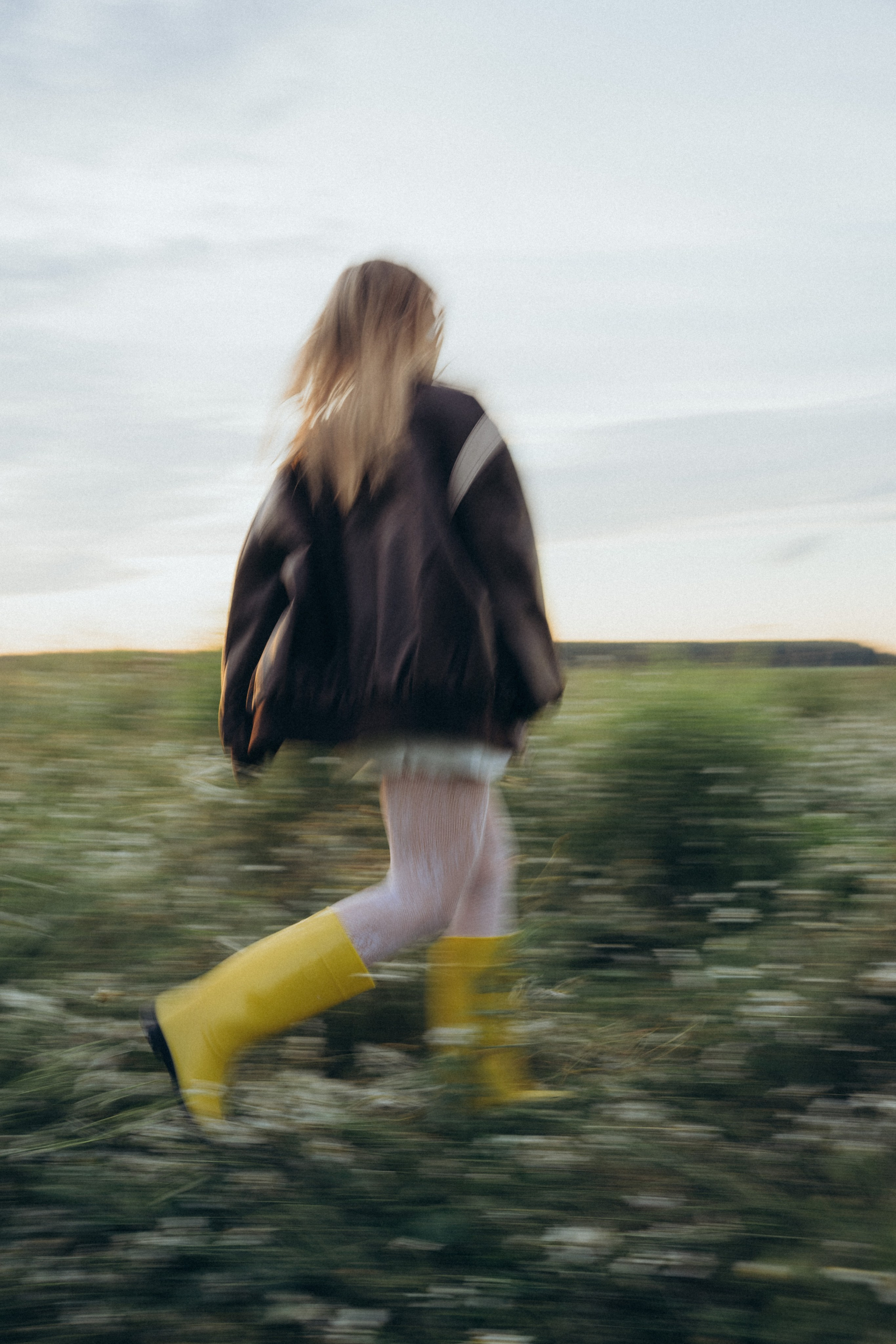 Ромашки. Фотограф Москва