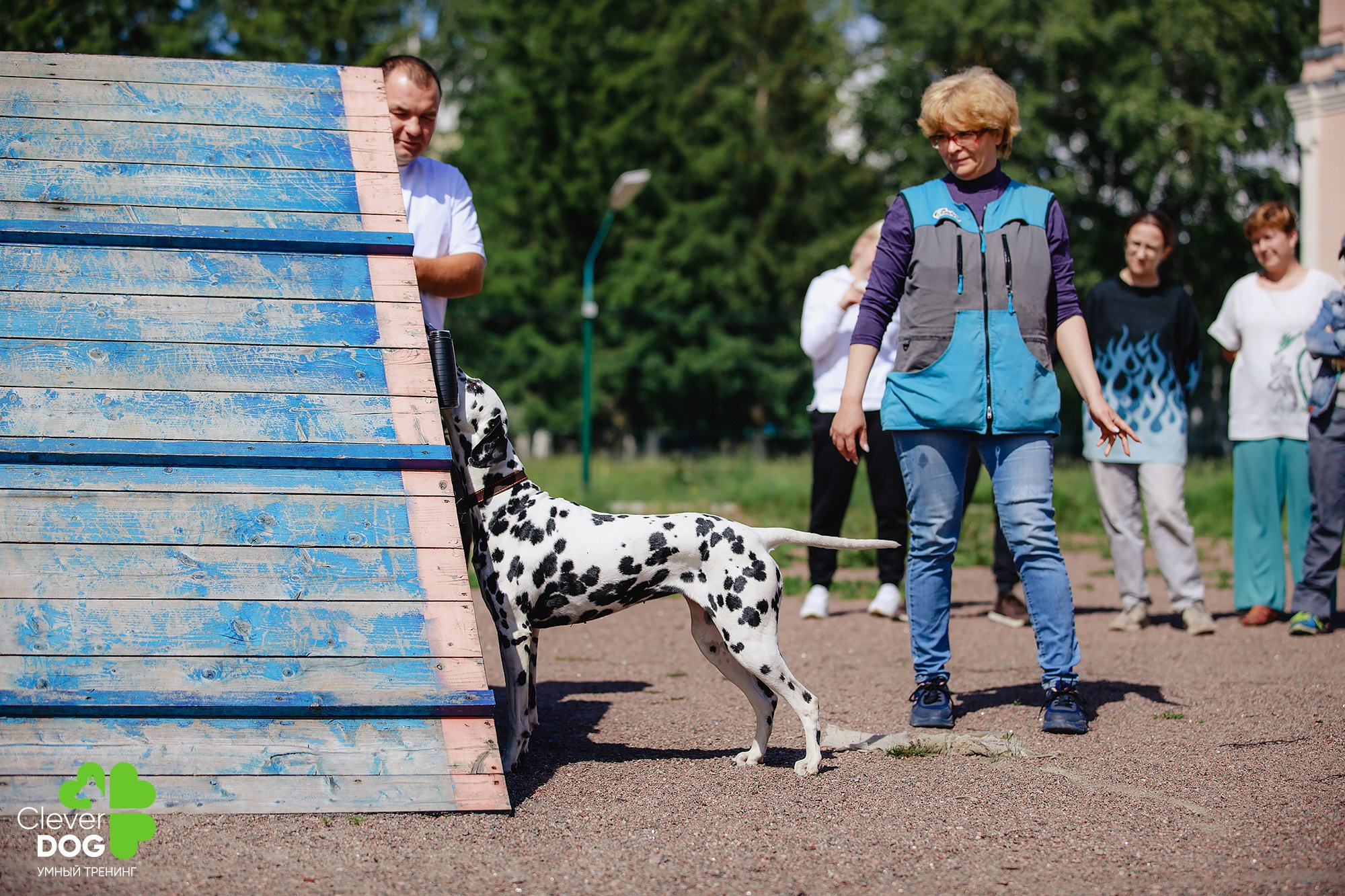 Семинар по поиску запаха с Иваном Ломовым, организатор CleverDog, СПб. Фотограф-анималист Mary Mart — Москва, Питер