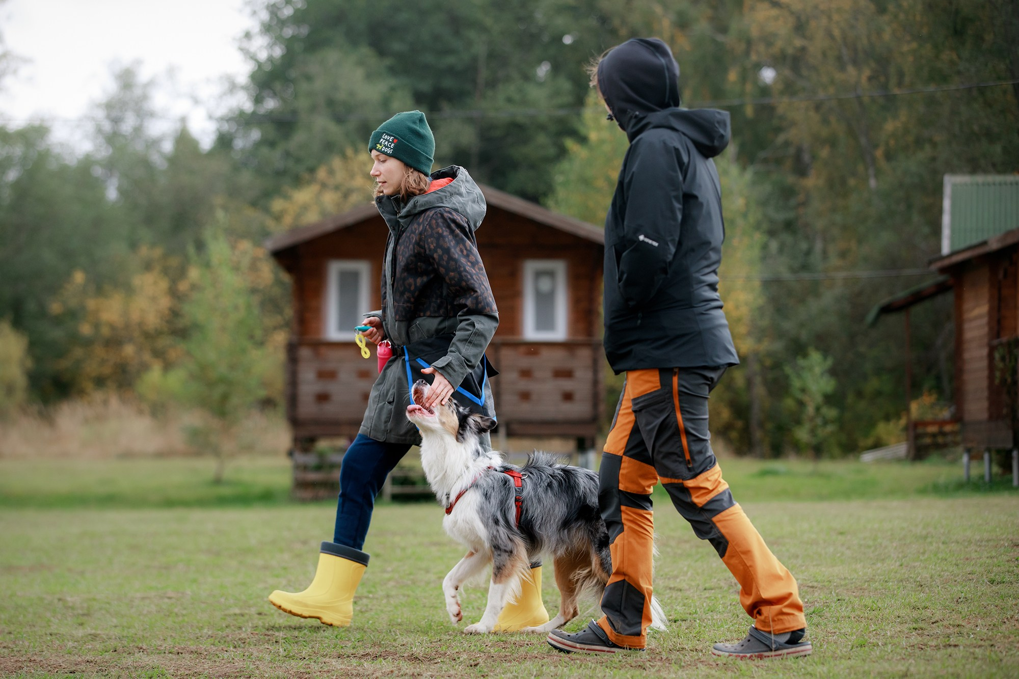 Лагерь по ОБД с Инной Баженовой. Фотограф-анималист Mary Mart — Москва, Питер