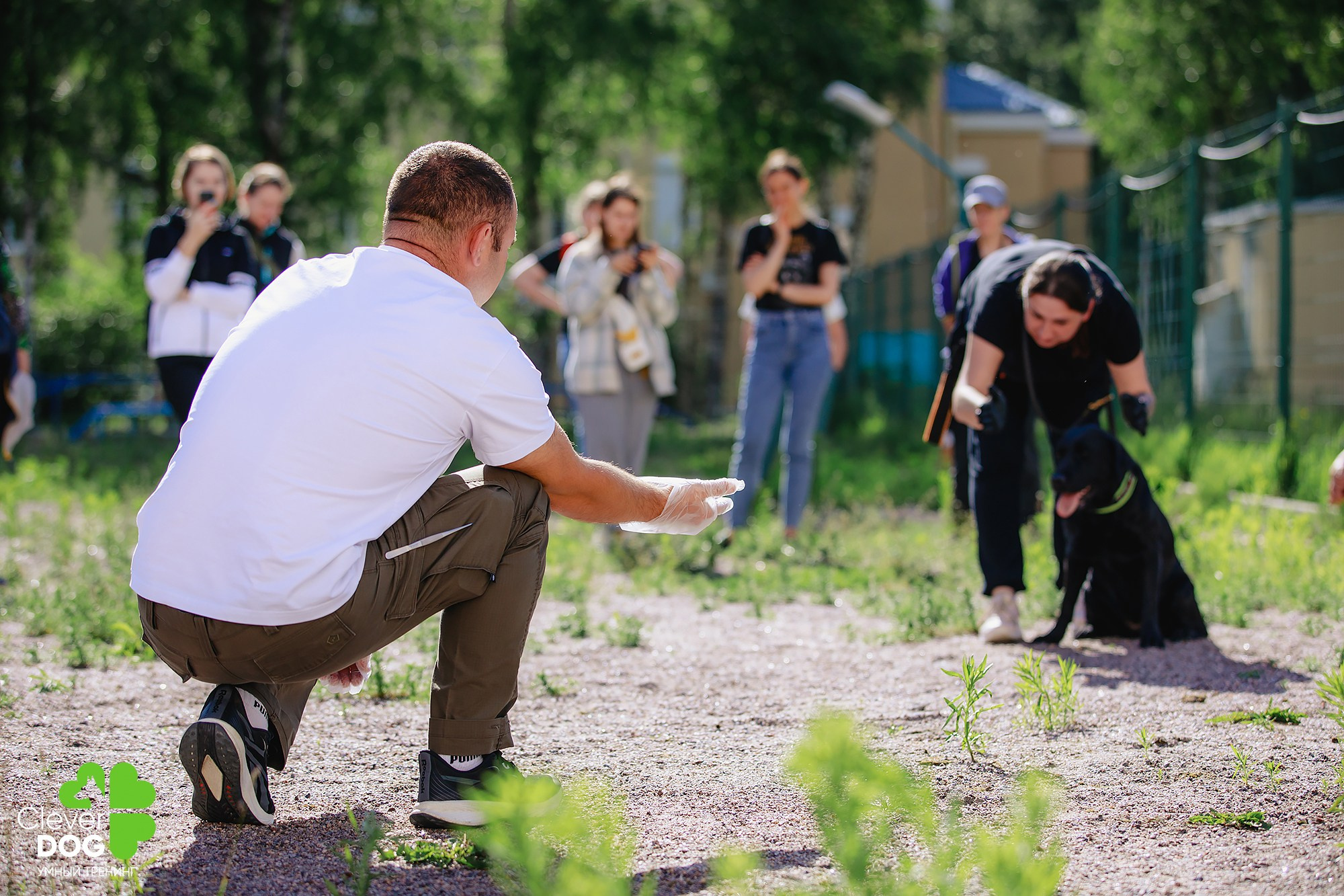 Семинар по поиску запаха с Иваном Ломовым, организатор CleverDog, СПб. Фотограф-анималист Mary Mart — Москва, Питер