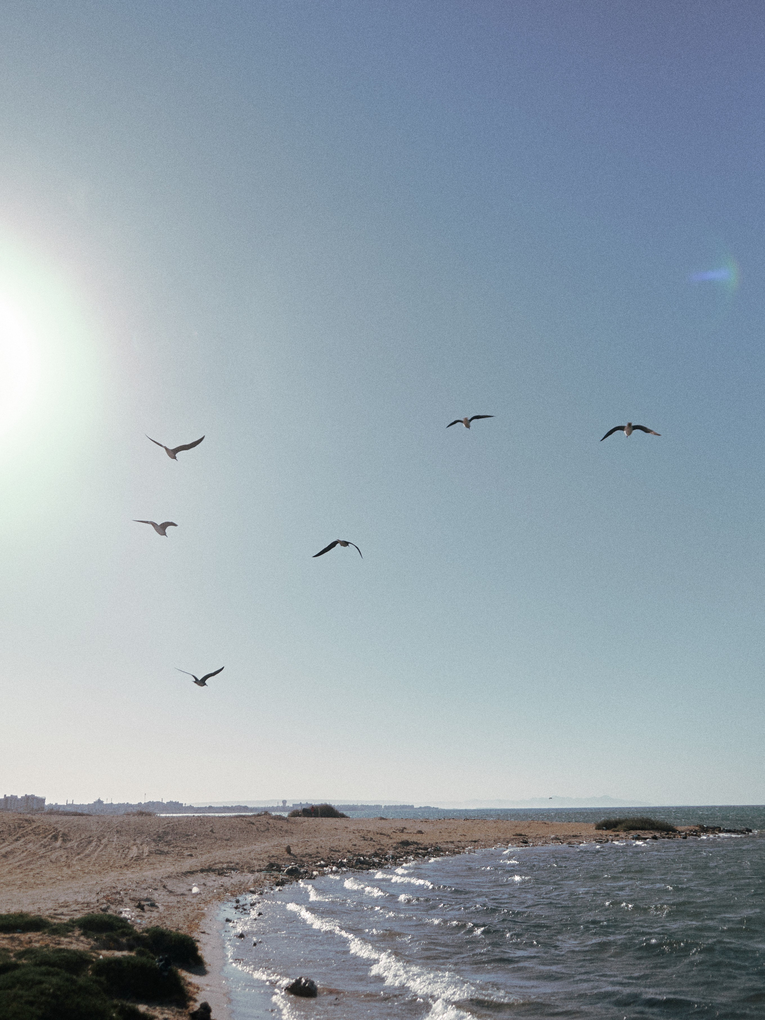 Природа. Jorgis Talè — photographer, kind person, teacher of arts and other mag