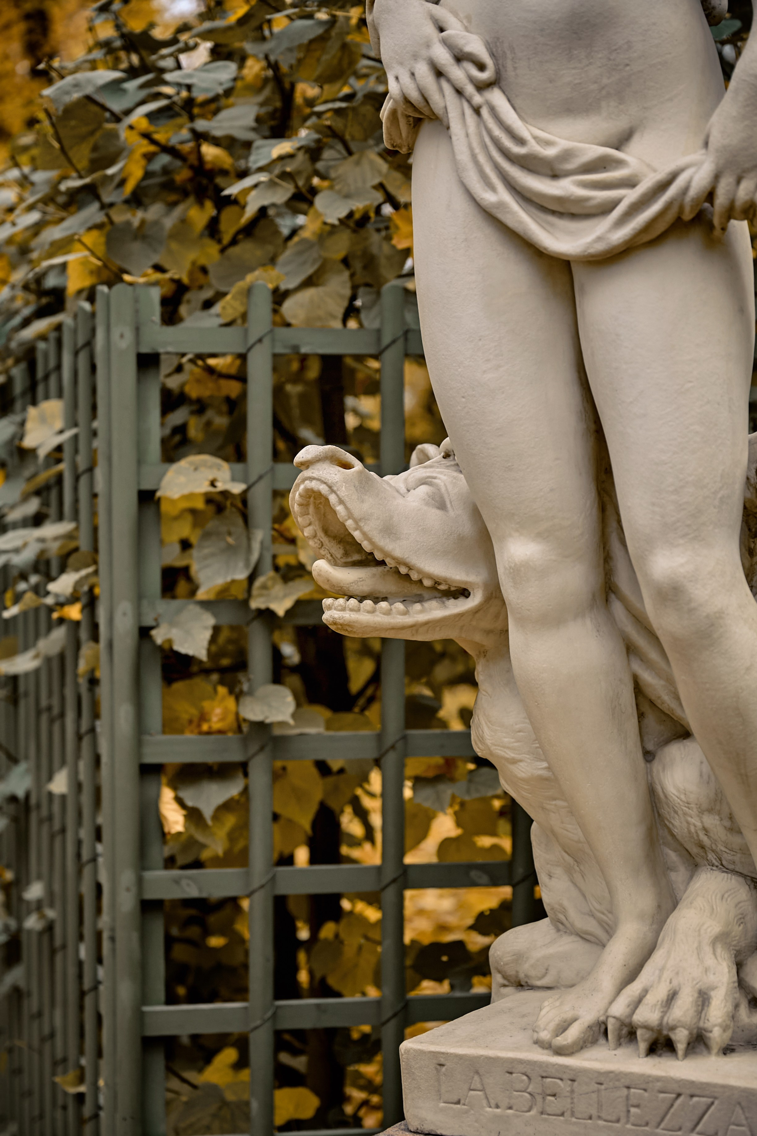 Eugenia autumn. Рекламный фотограф Санкт-Петербург Катерина Мишкель