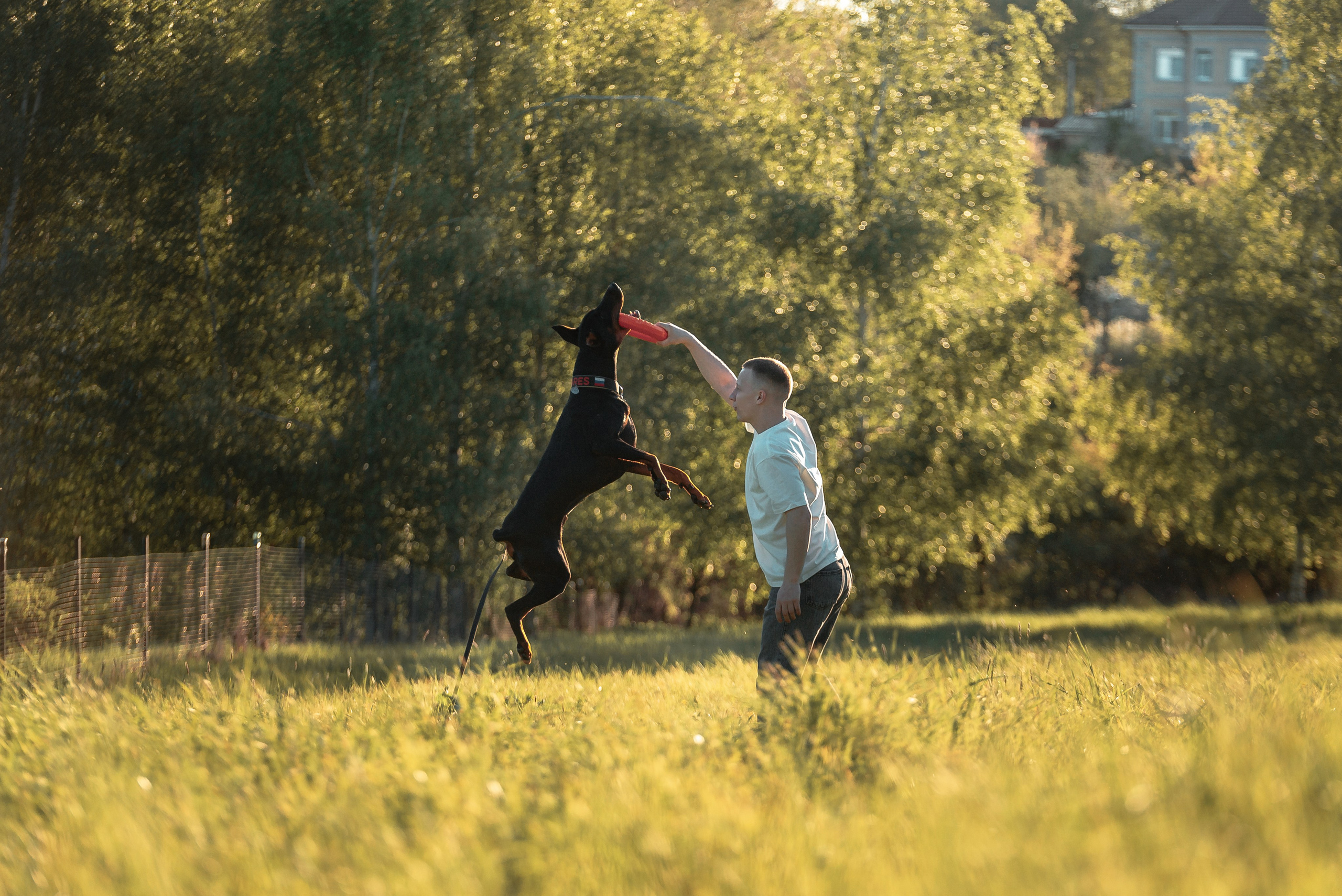 Юля, Андрей и Арес. Фотограф-анималист Анастасия Парфенова|Екатеринбург