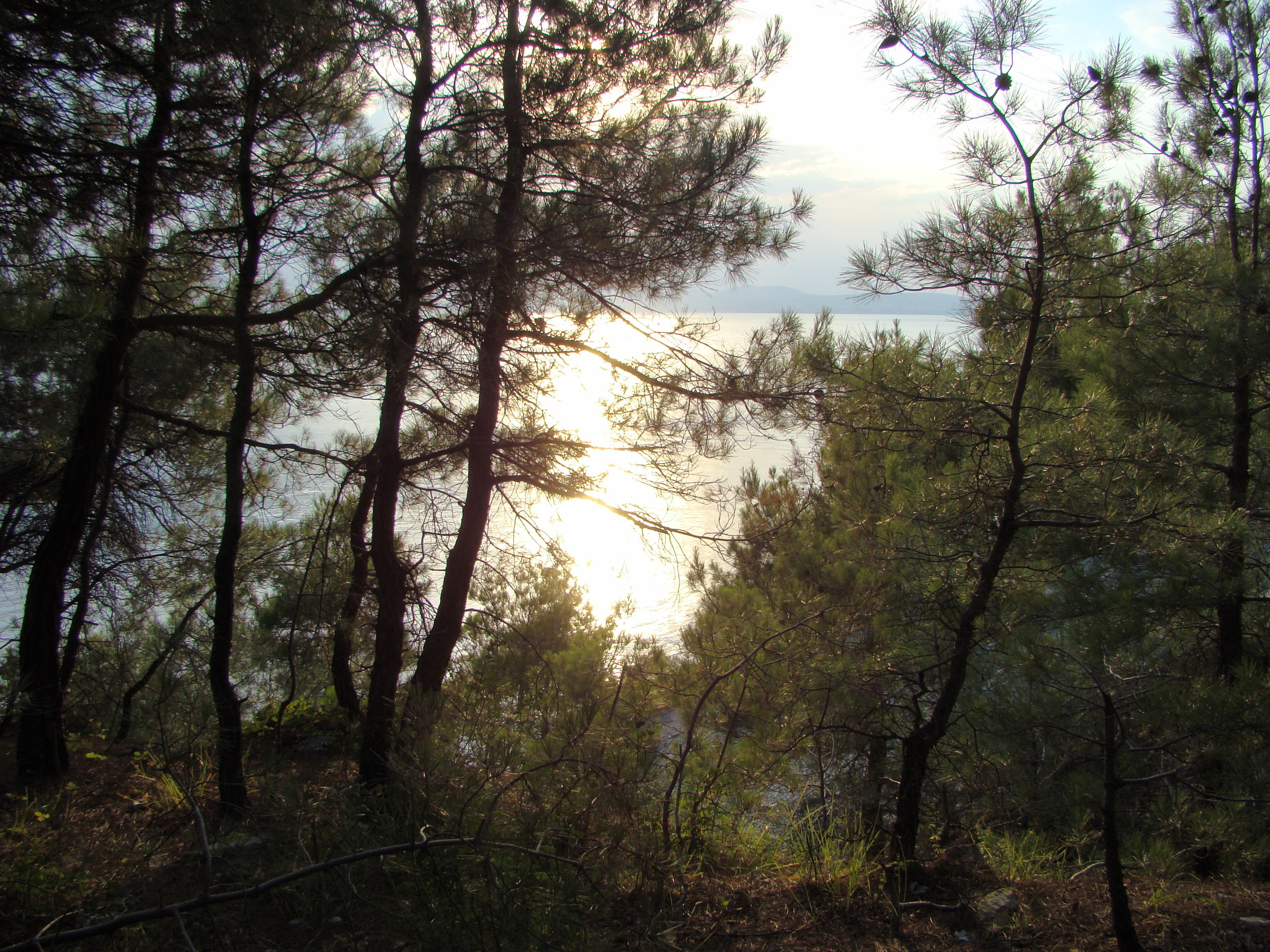 Кабардинка (фото Зевиных) 25.06-24.07.2008. Семейный, Свадебный фотограф СПБ Питер— Романова Екатерина