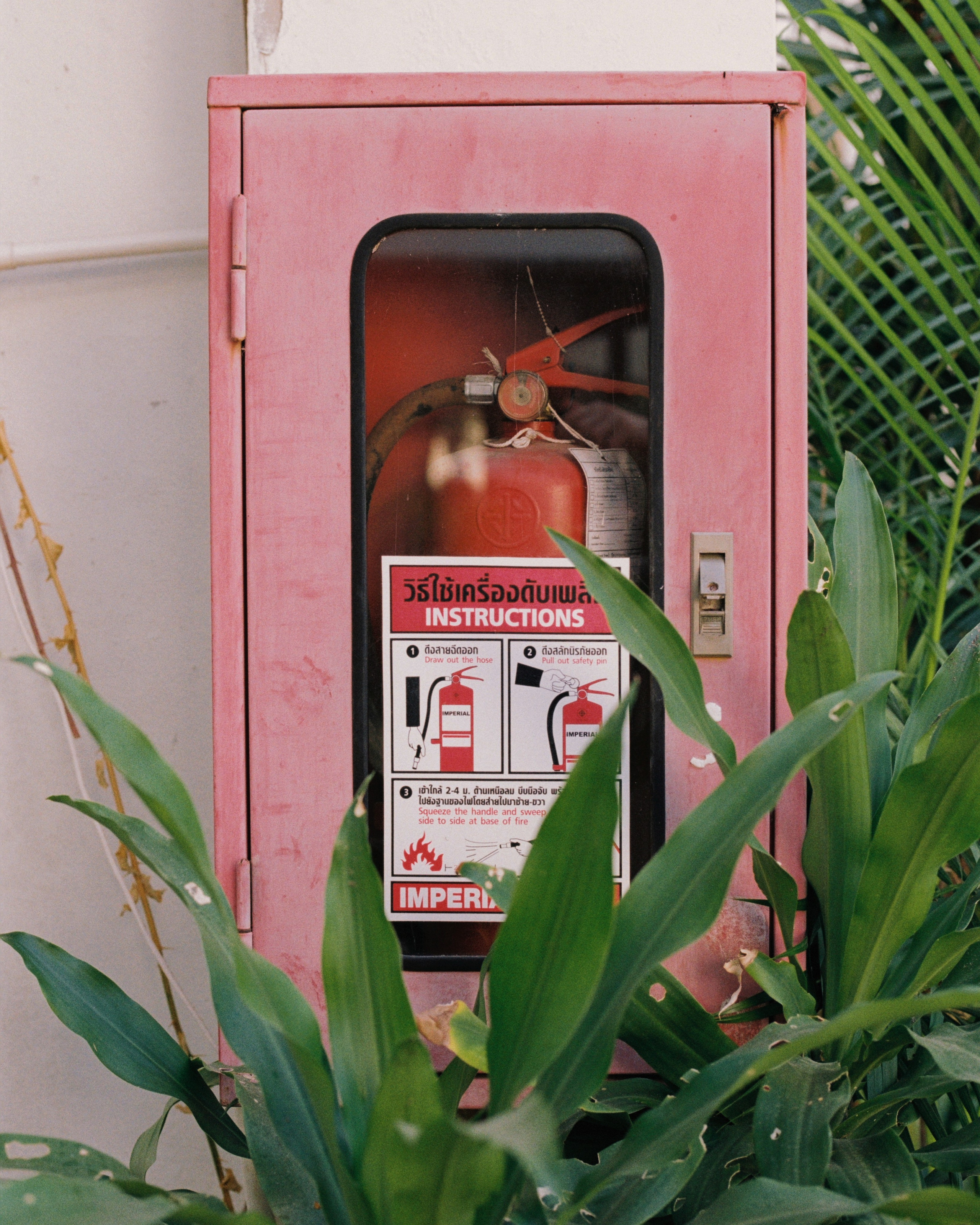 Thailand. Kirill Shashkov