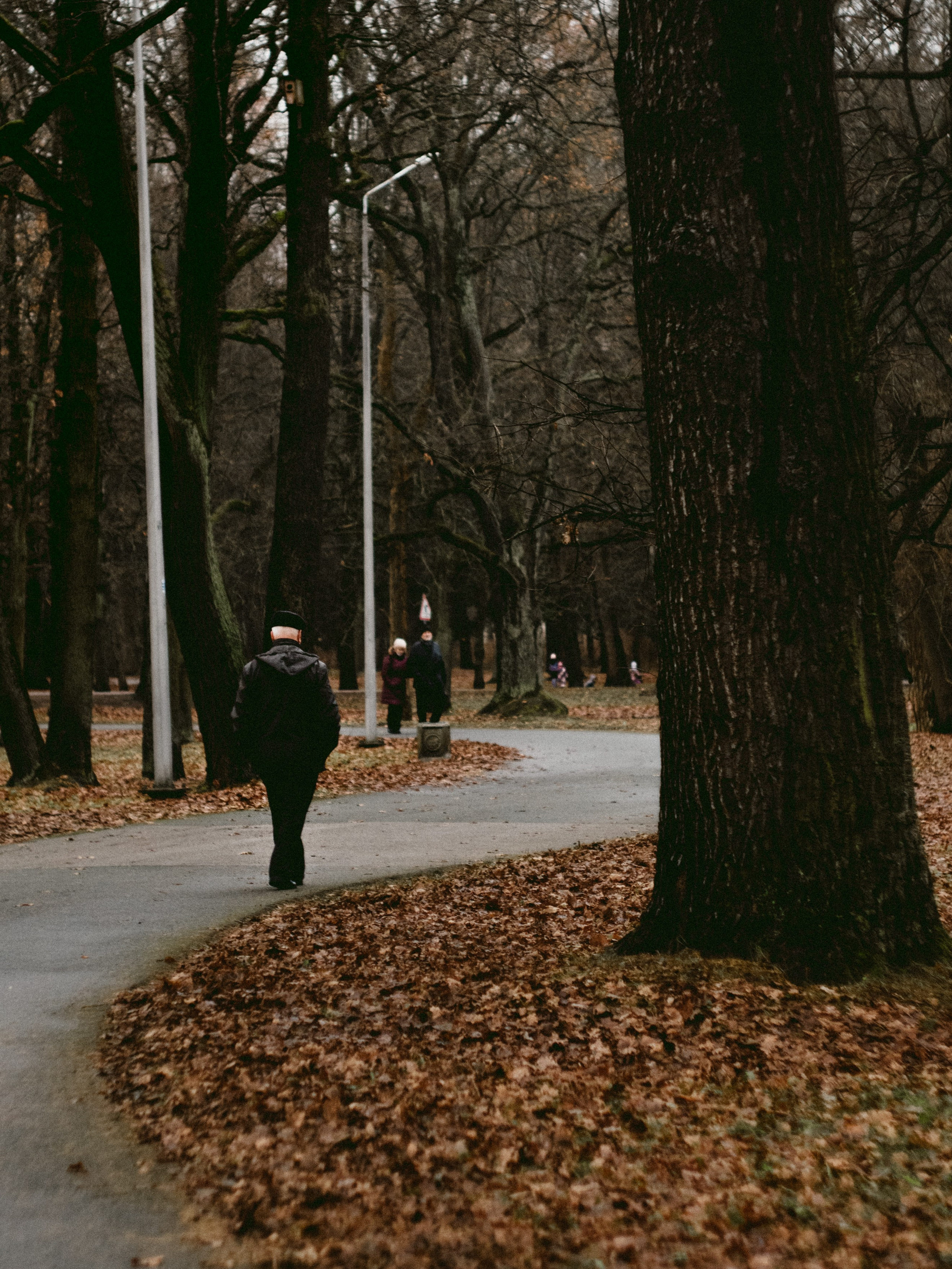 Елагин Остров. Портретный и репортажный фотограф в Санкт-Петербурге Смоляков Максим
