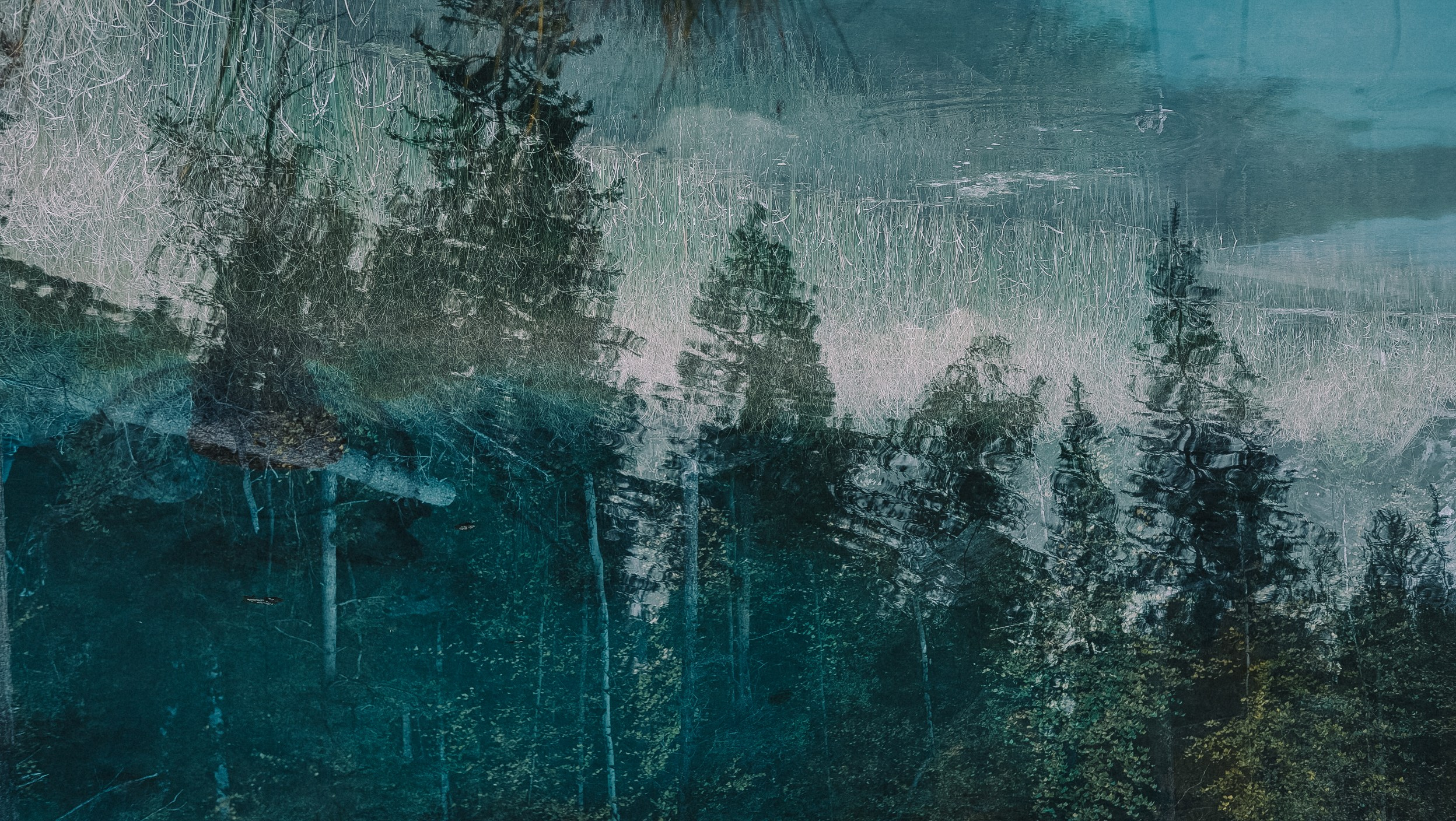 Алтай (мобилография). Фотограф в Москве, в Самаре Инна Мамонова