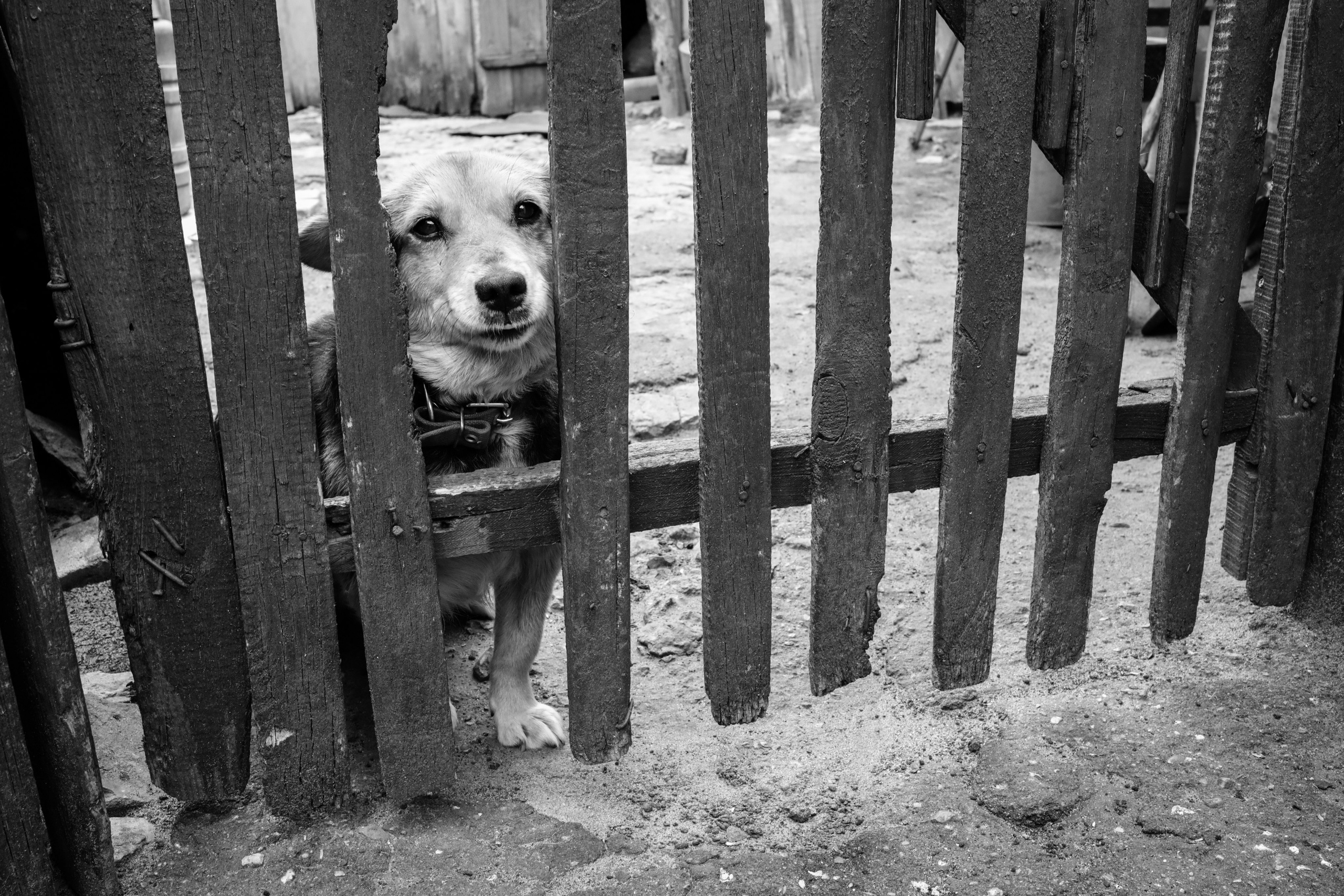 СКВОЗЬ ВРЕМЯ. Ekaterina Ageeva