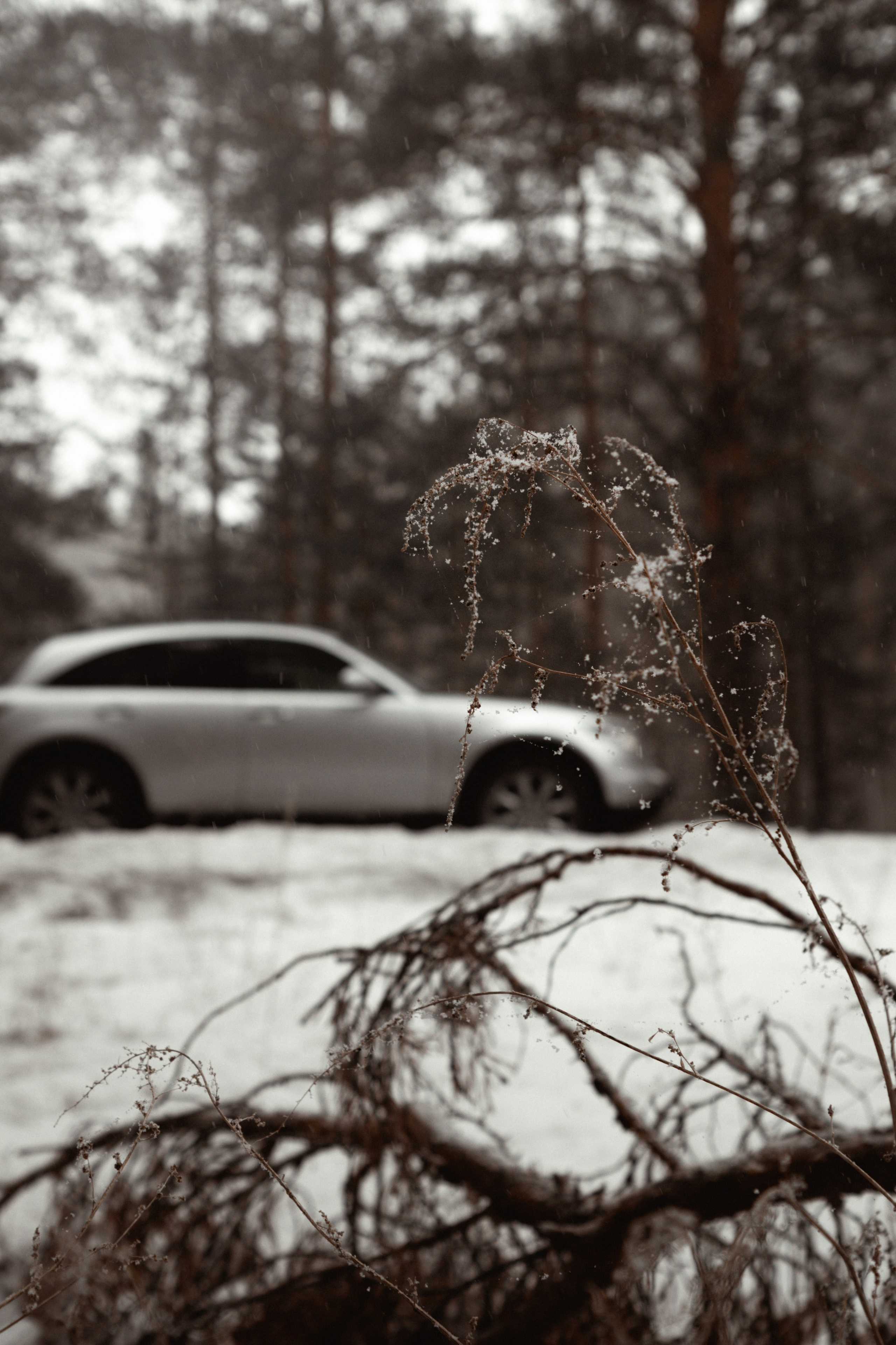 Infiniti FX35. Автомобильный фотограф и видеограф в Новосибирске|Александра Косухина
